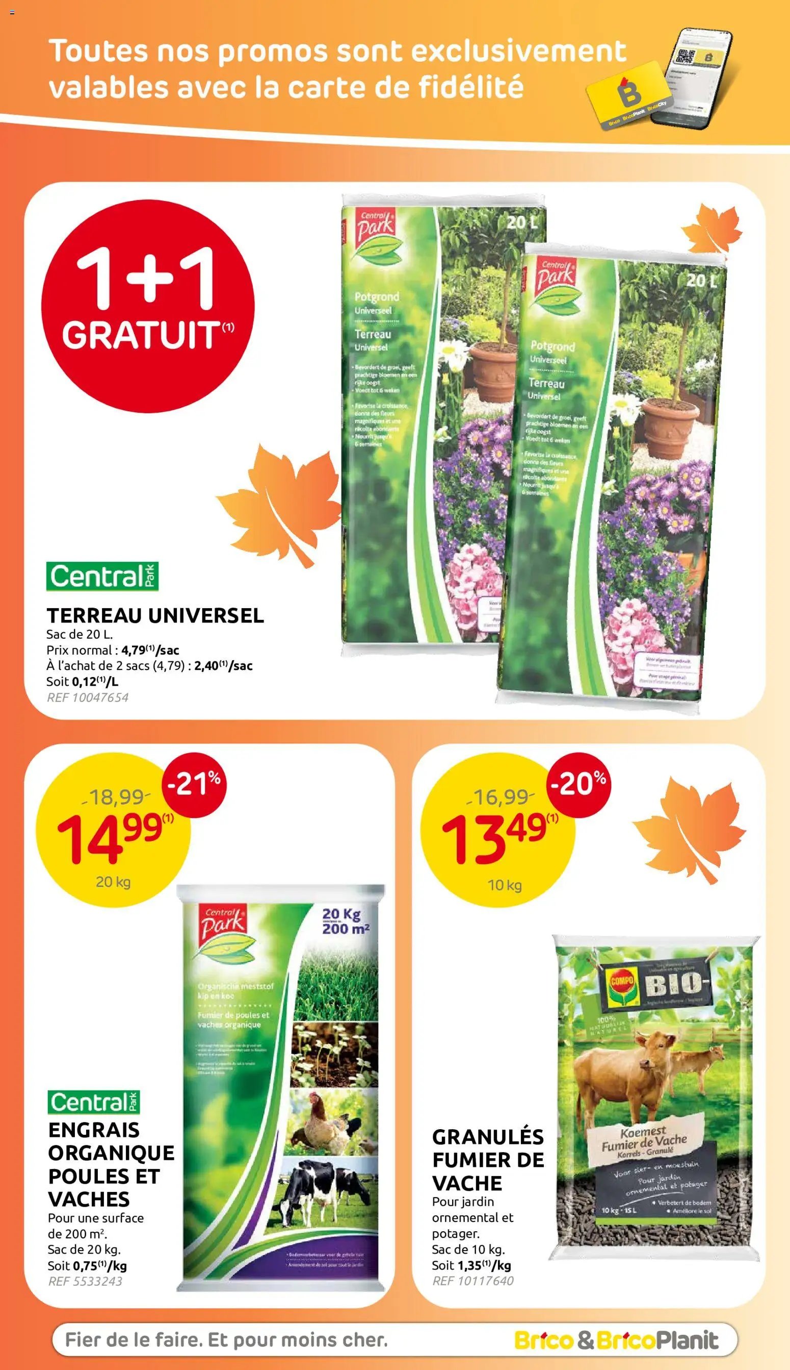 Brico publicité