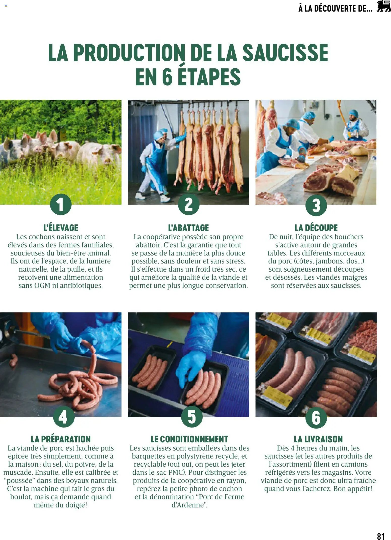 Delhaize Magazine