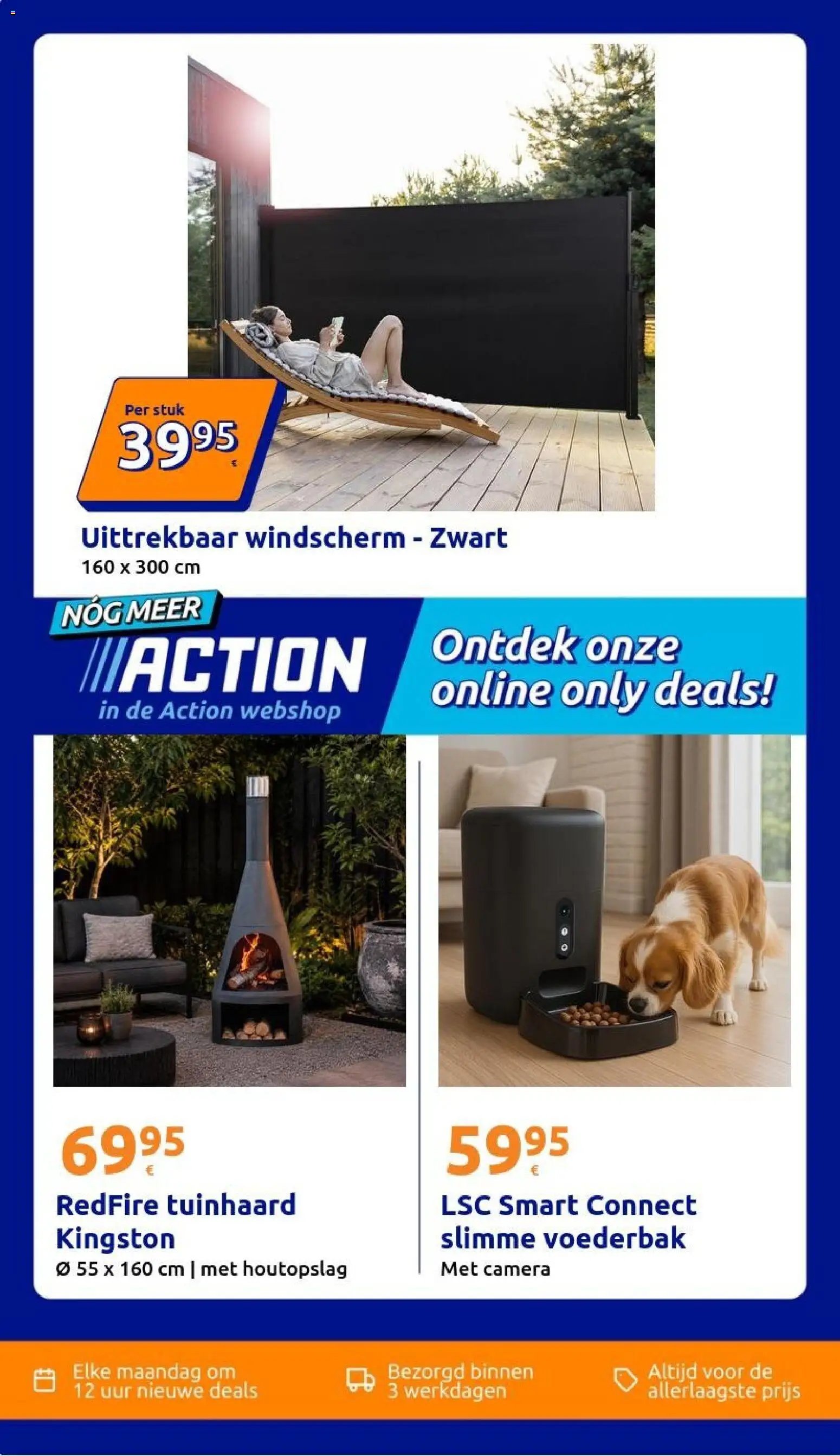 Action folder week 41