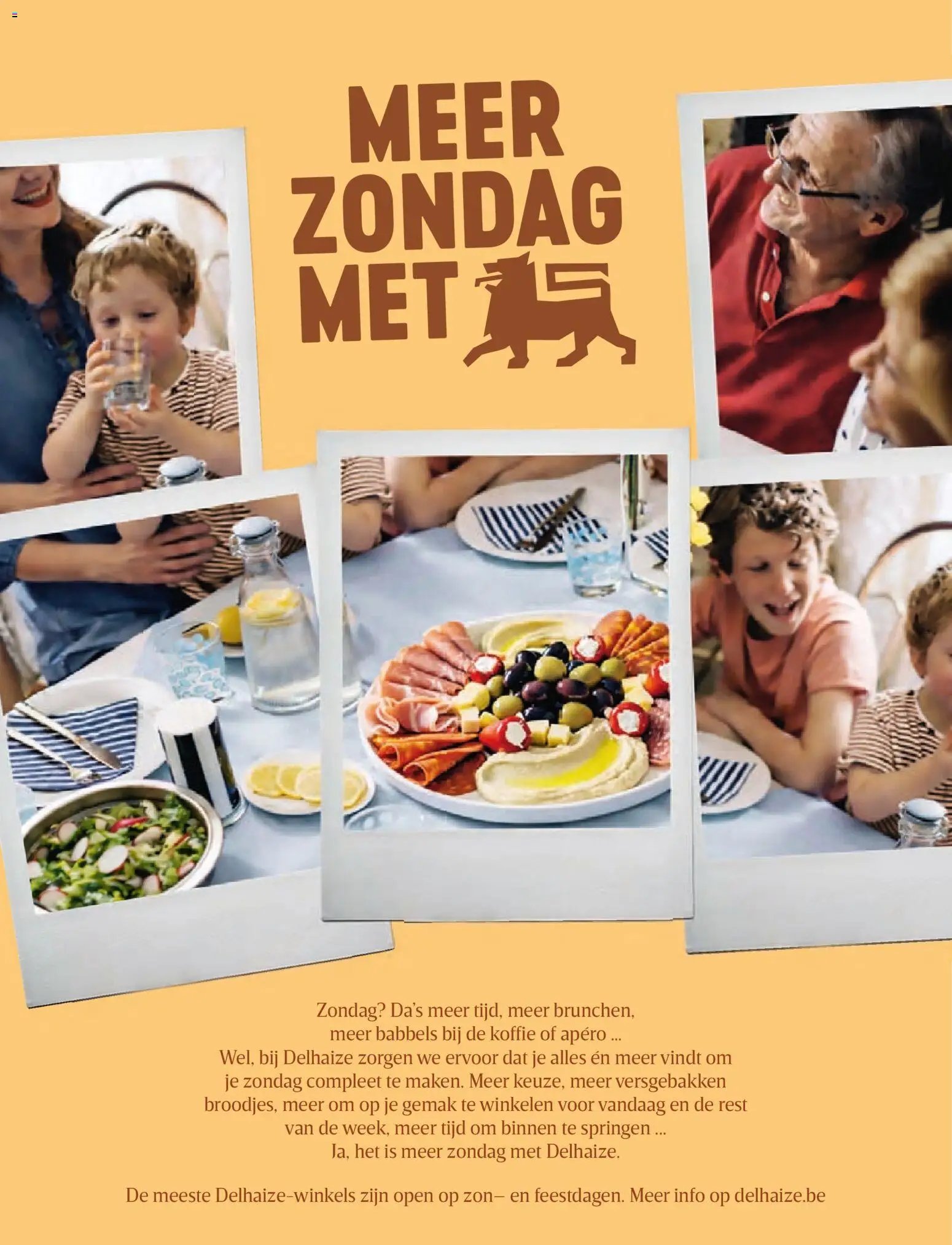 Delhaize folder 