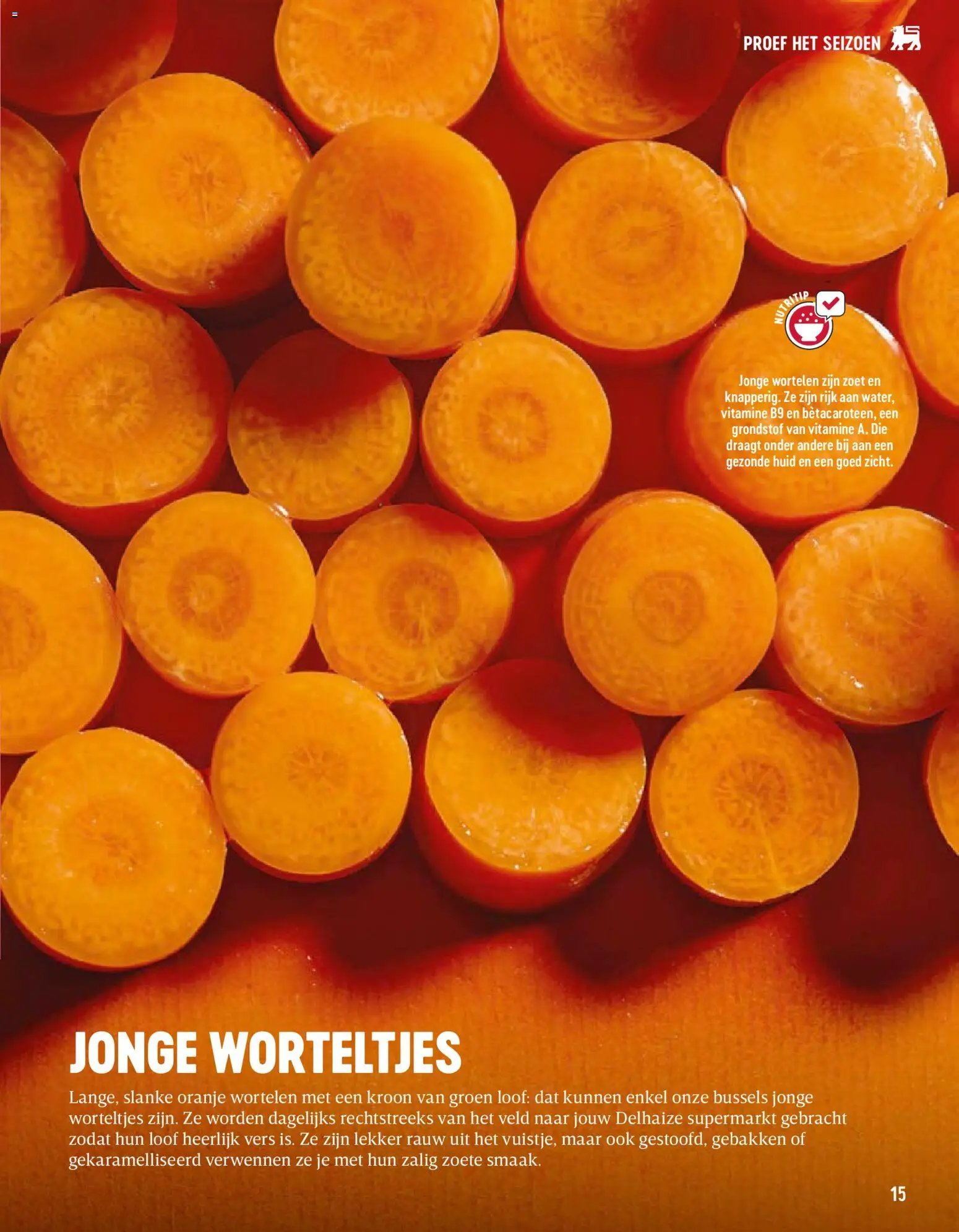 Delhaize folder  (2026-04-02 - 2026-05-31)