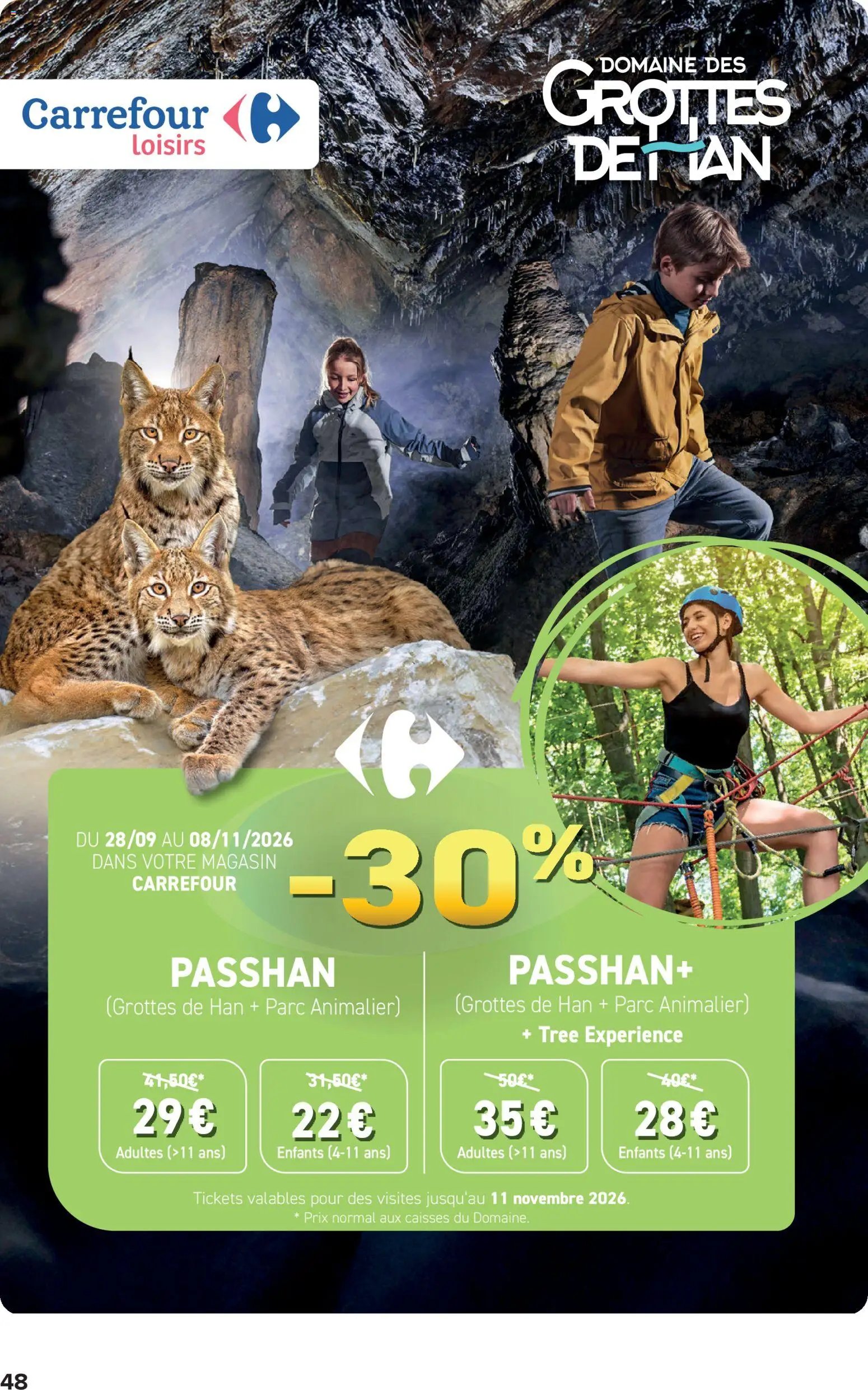Carrefour publicité