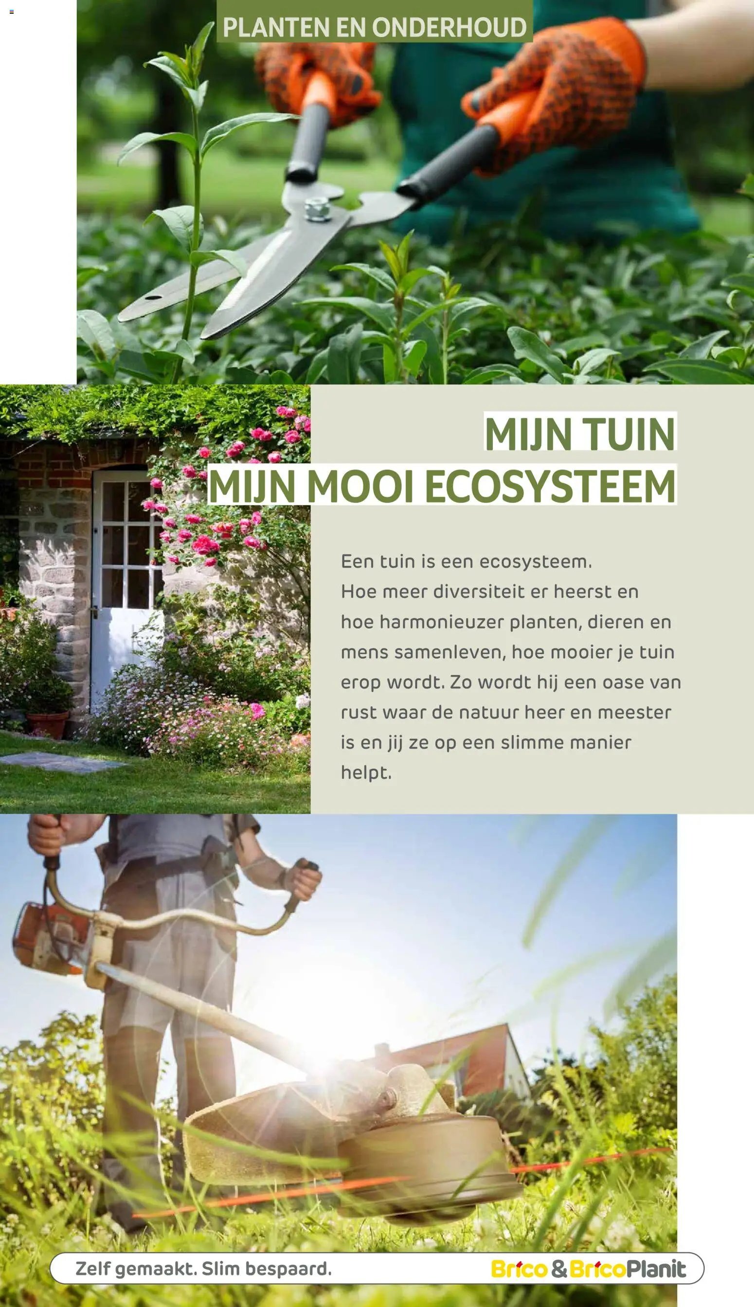 Brico Plan-it Tuincatalogus (2026-03-10 - 2027-02-28)
