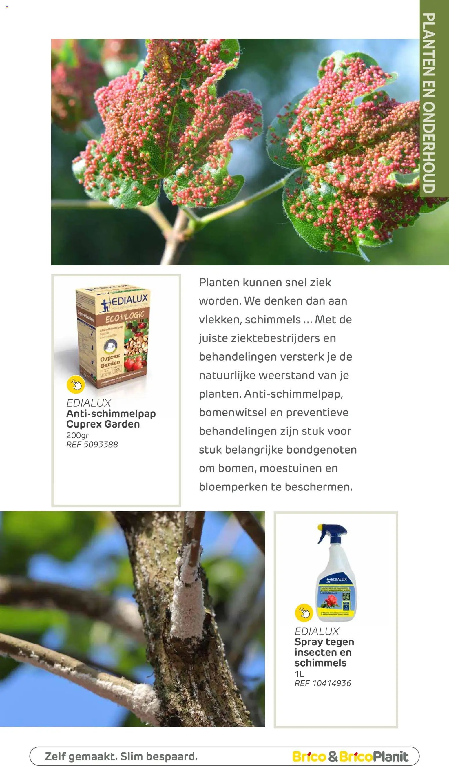 Brico Plan-it Tuincatalogus (2026-03-10 - 2027-02-28)