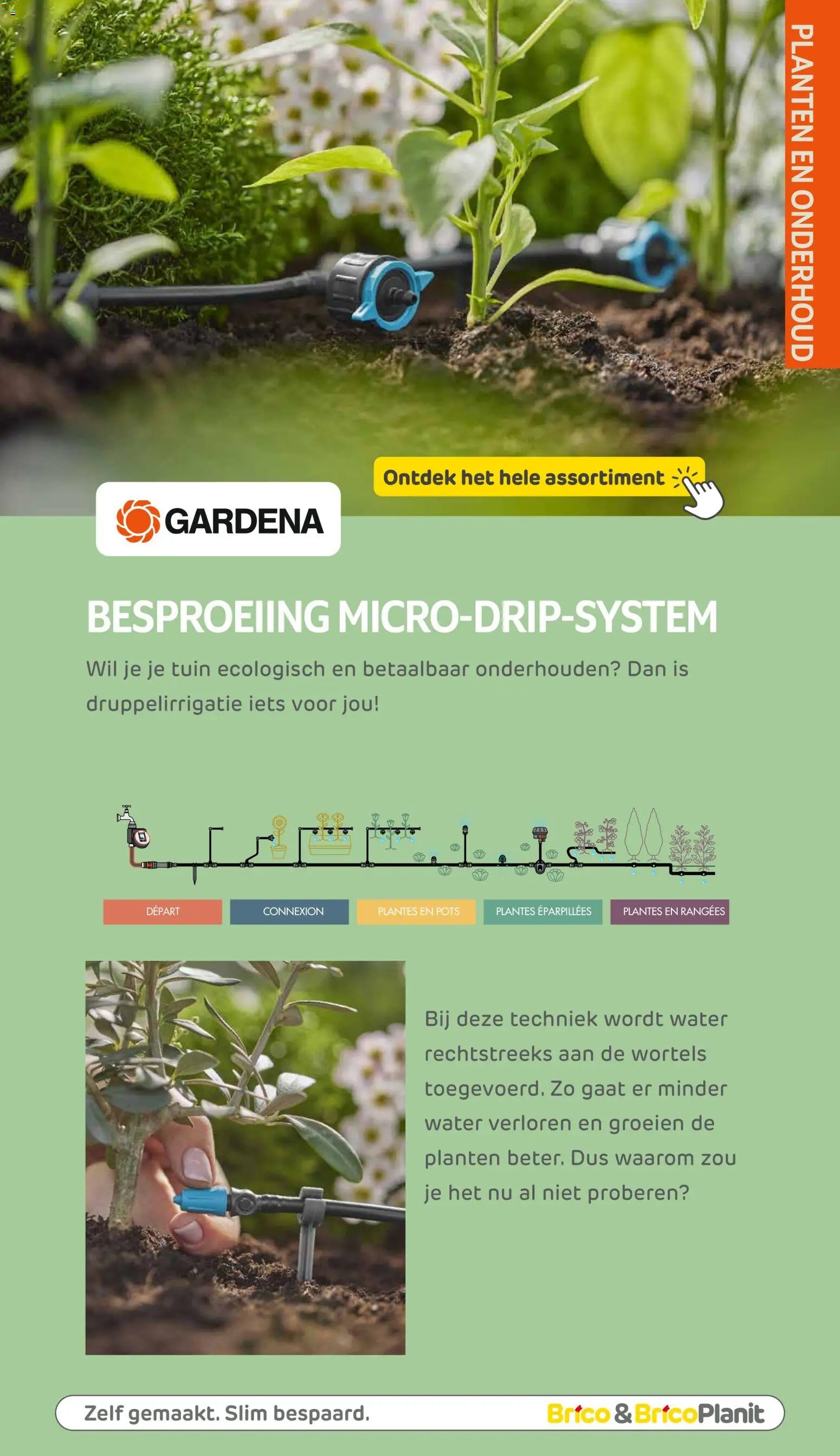 Brico Plan-it Tuincatalogus (2026-03-10 - 2027-02-28)