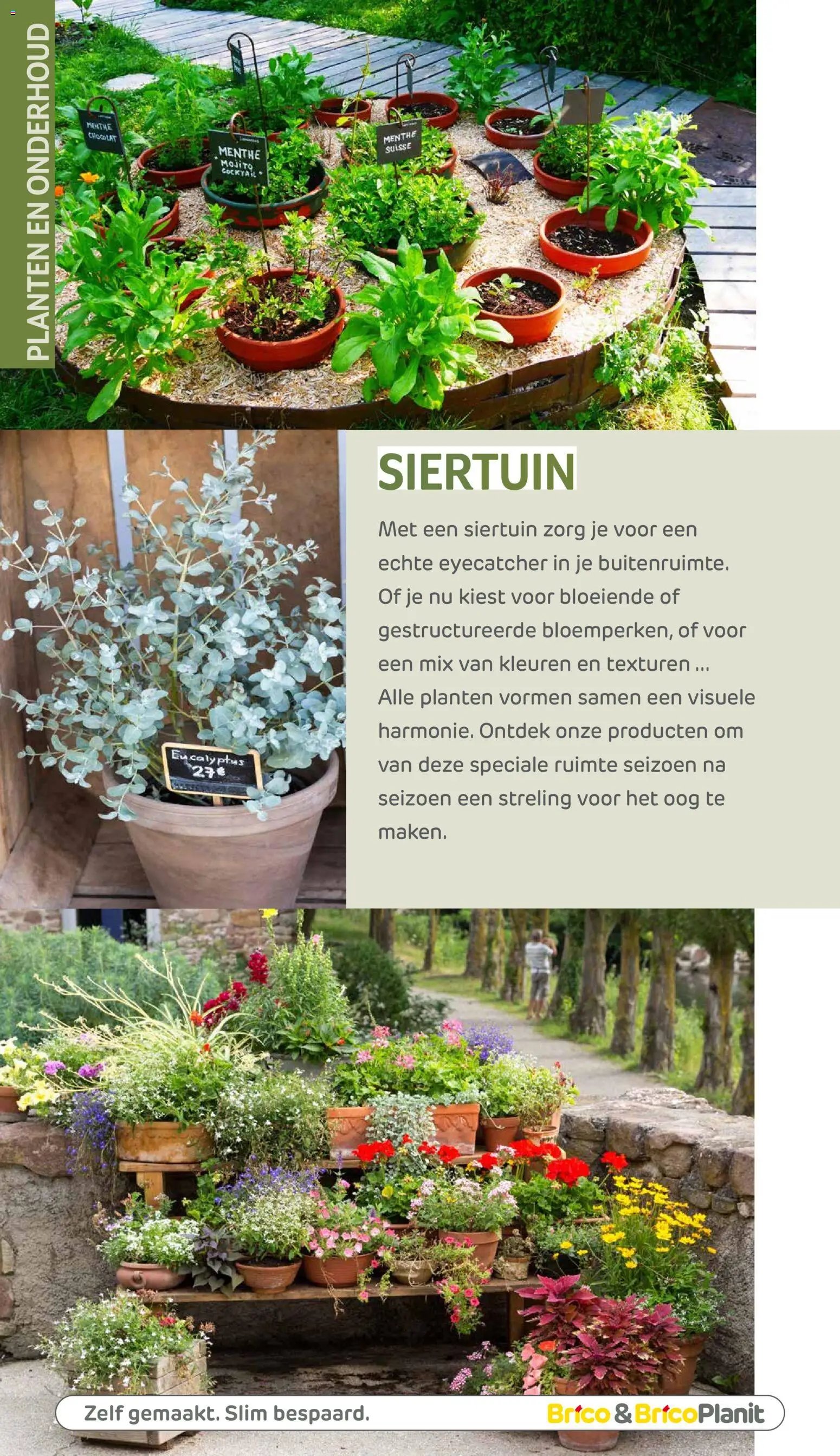 Brico Plan-it Tuincatalogus (2026-03-10 - 2027-02-28)