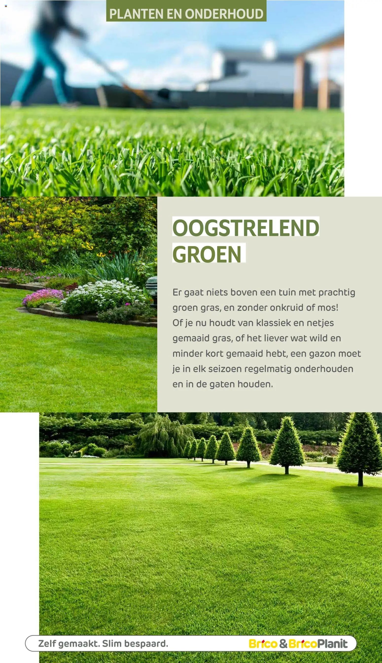 Brico Plan-it Tuincatalogus (2026-03-10 - 2027-02-28)