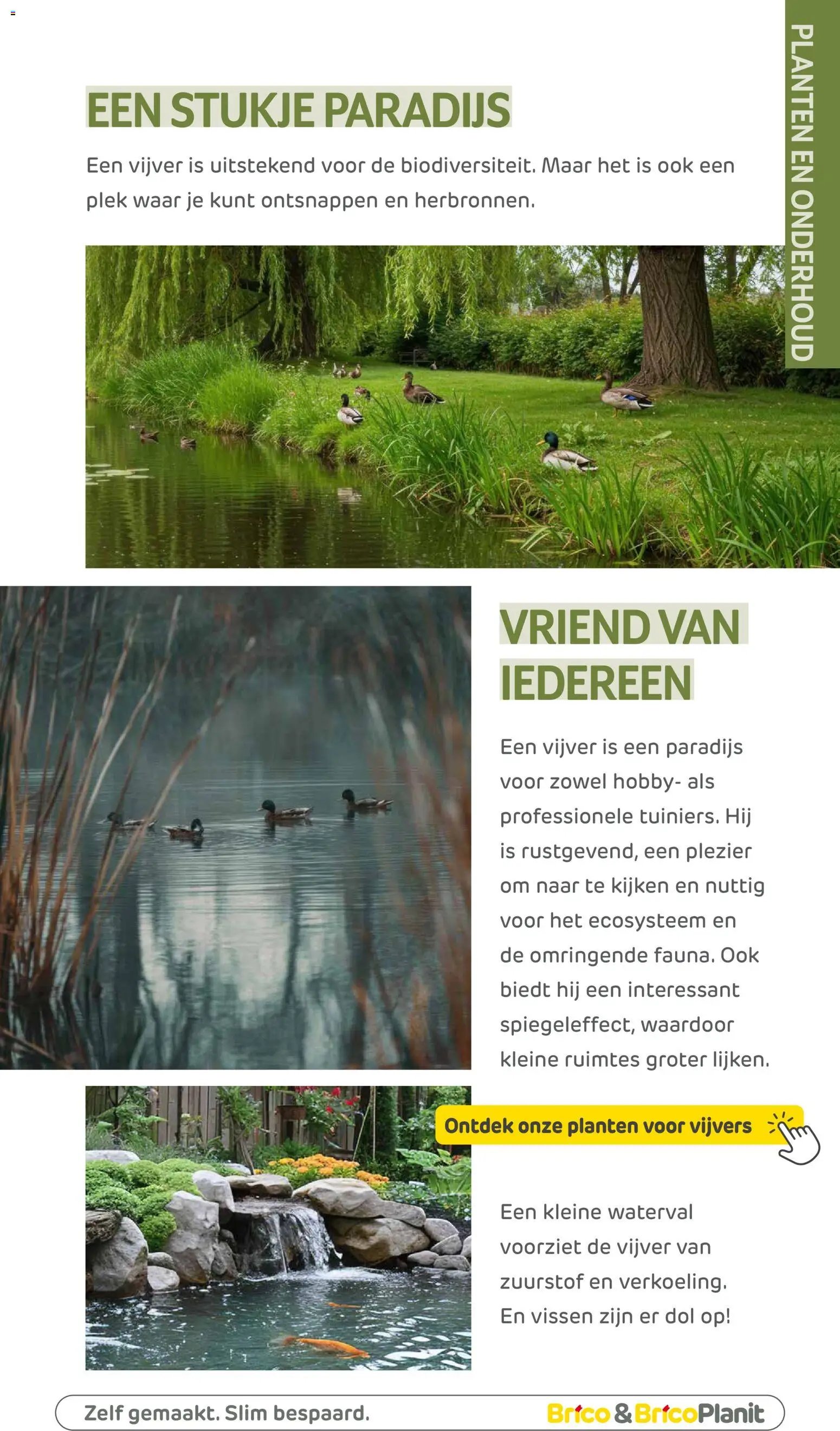 Brico Plan-it Tuincatalogus (2026-03-10 - 2027-02-28)