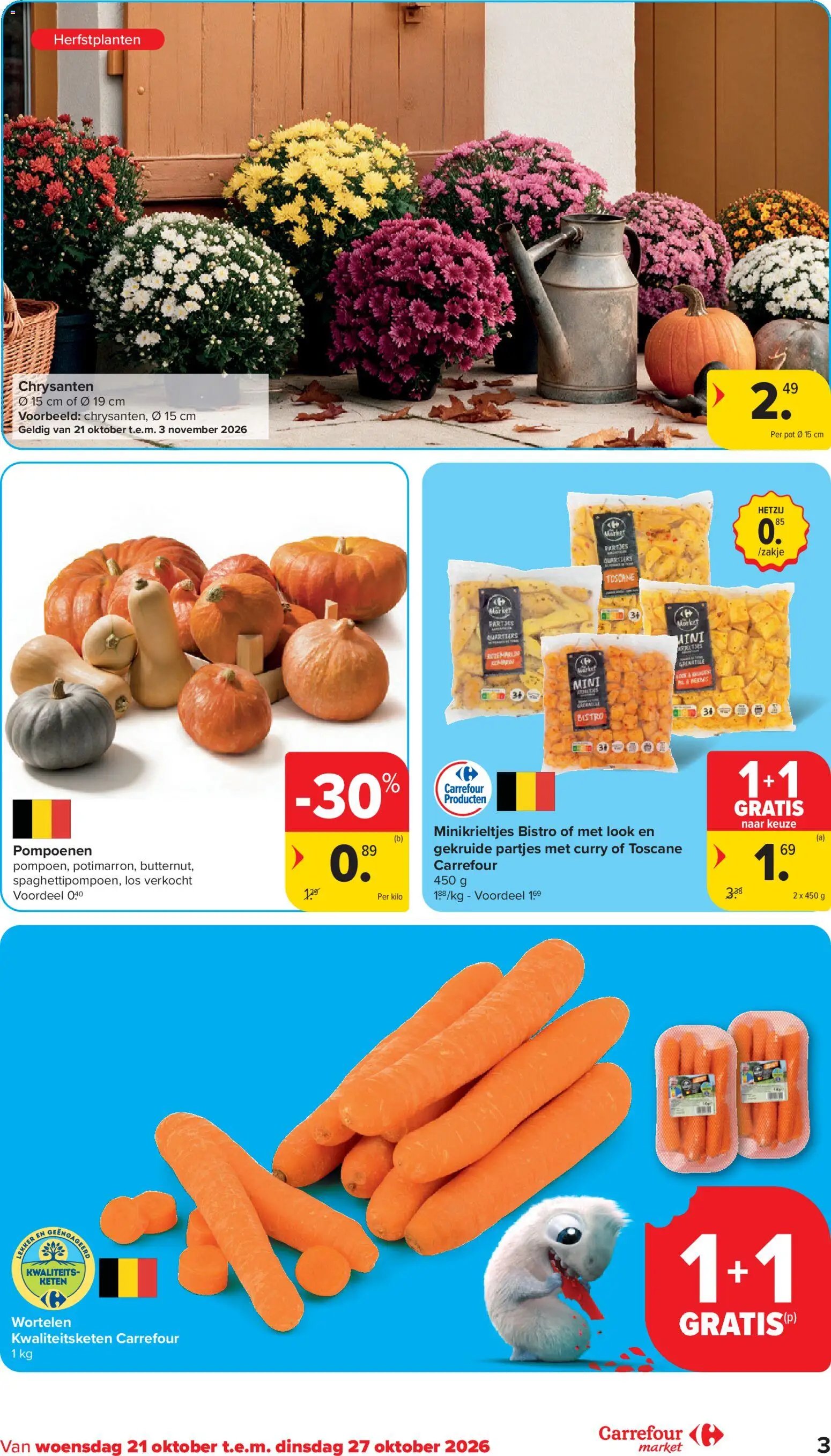 Carrefour market folder