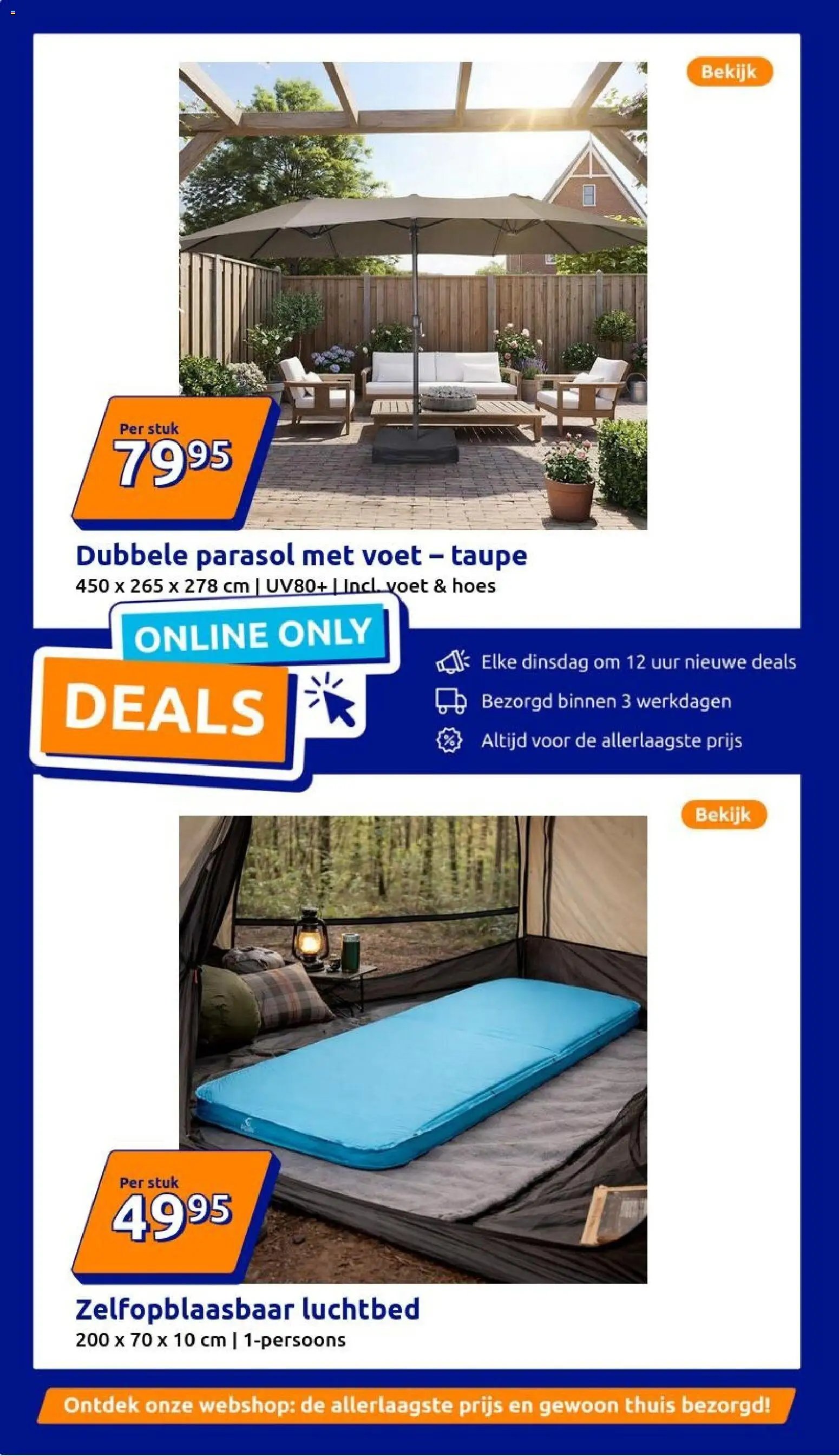 Action folder week 12