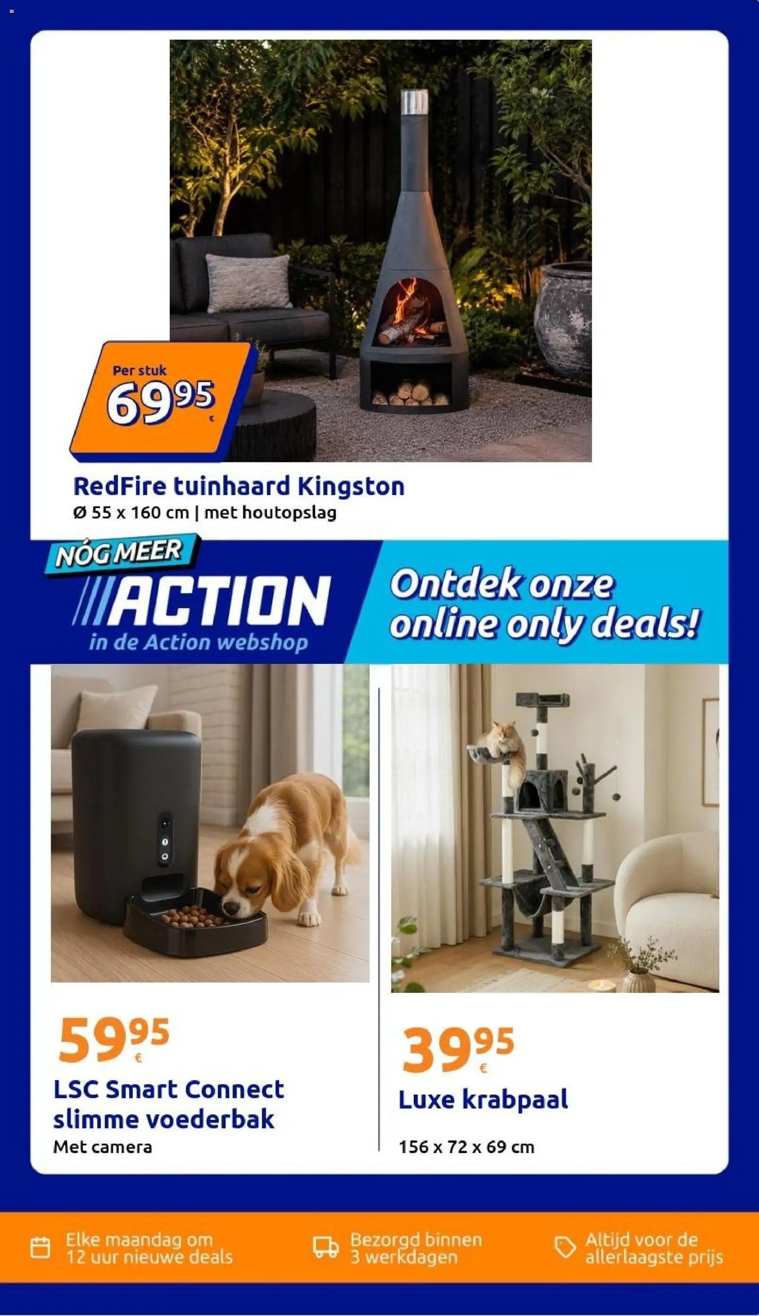Action folder week 43