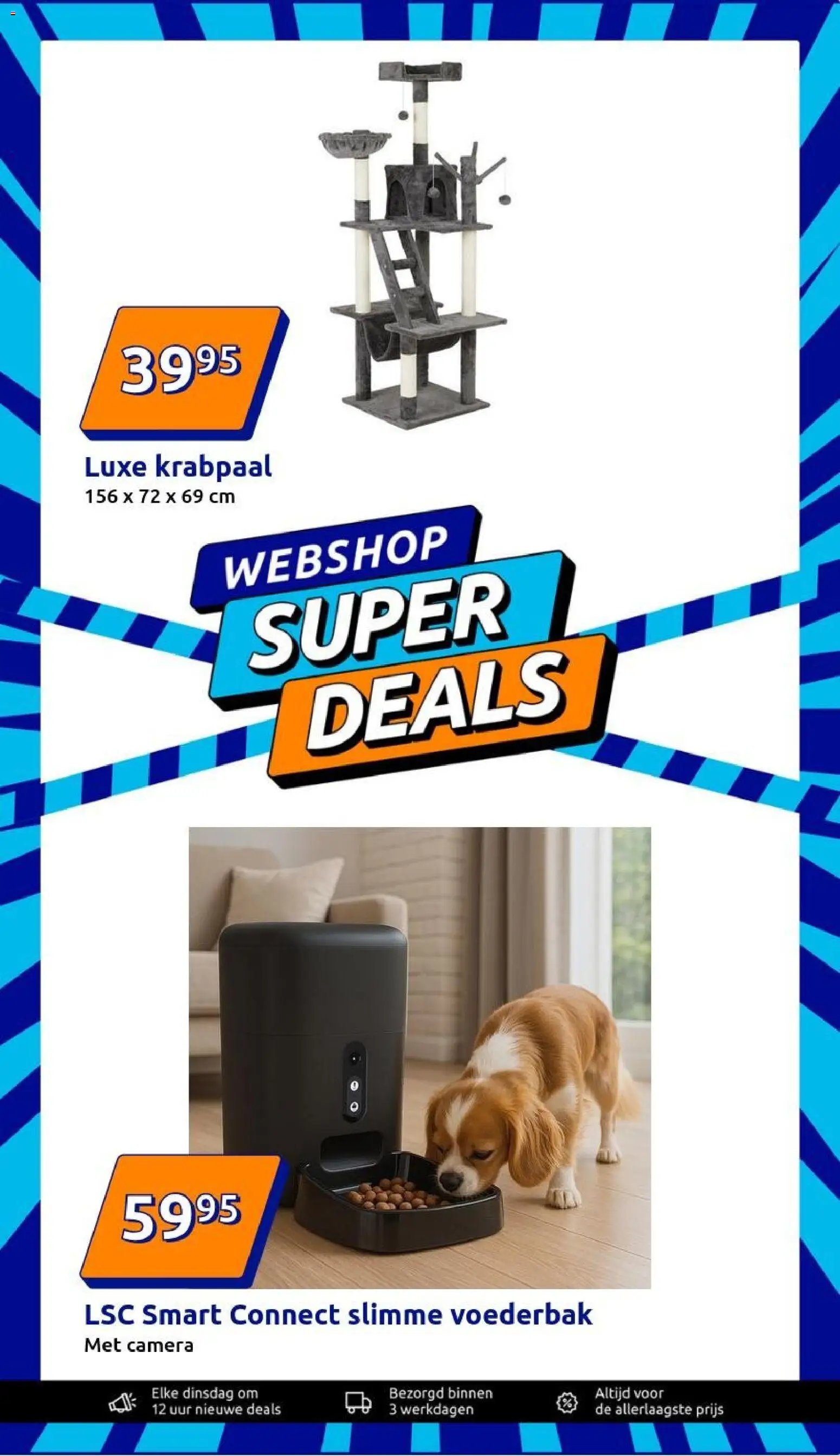 Action - Black Friday 