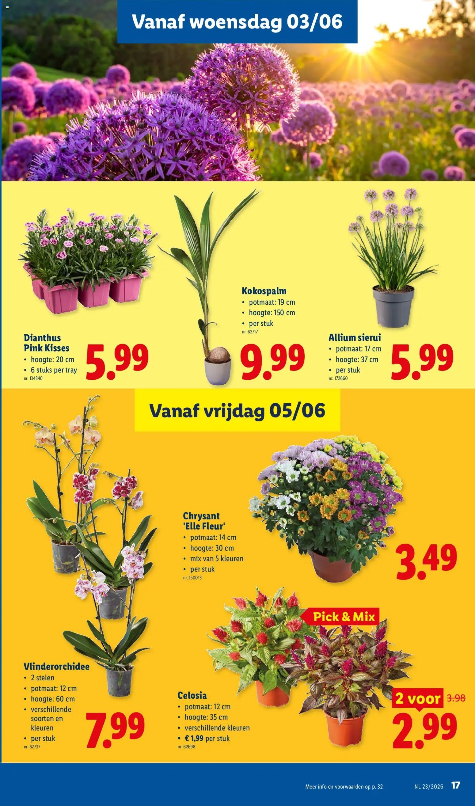 Lidl Folder week 23 (2026-06-01 - 2026-06-06)