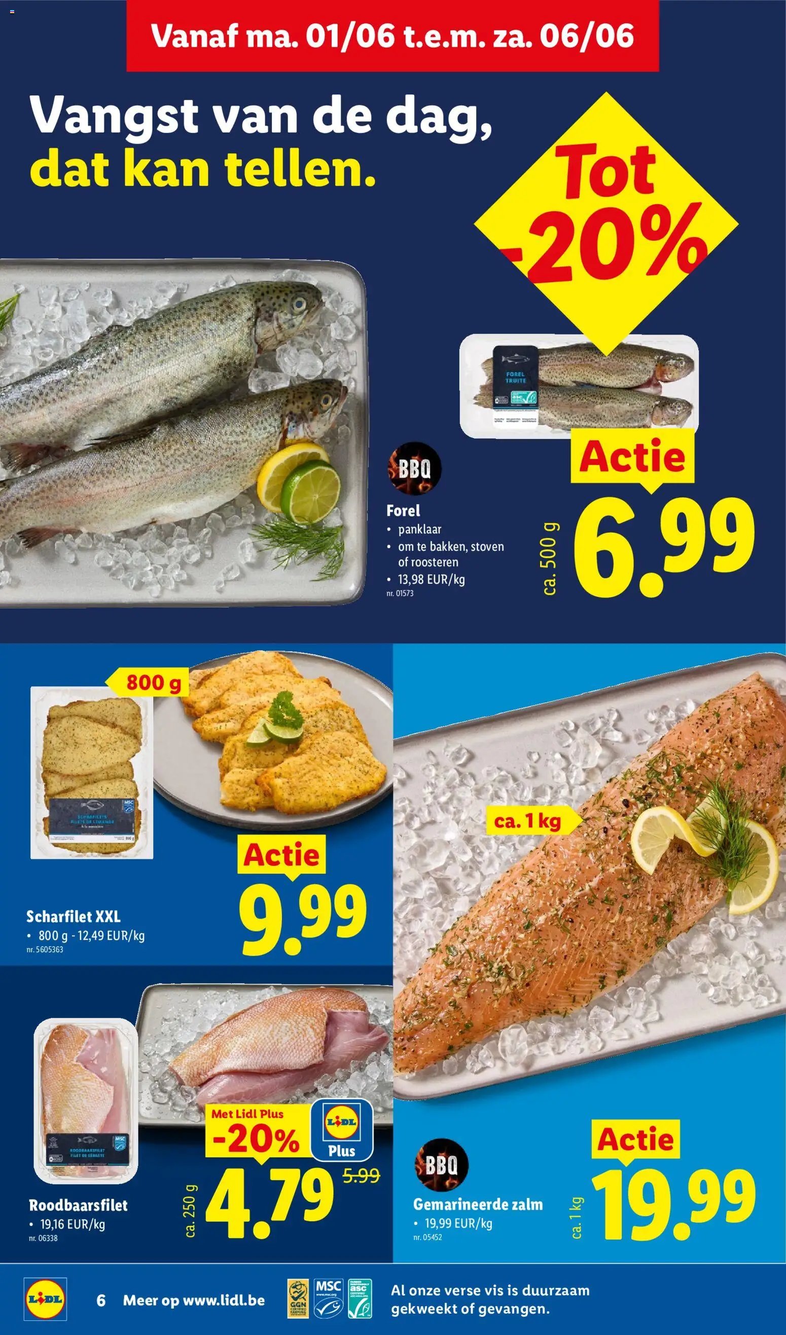 Lidl Folder week 23 (2026-06-01 - 2026-06-06)