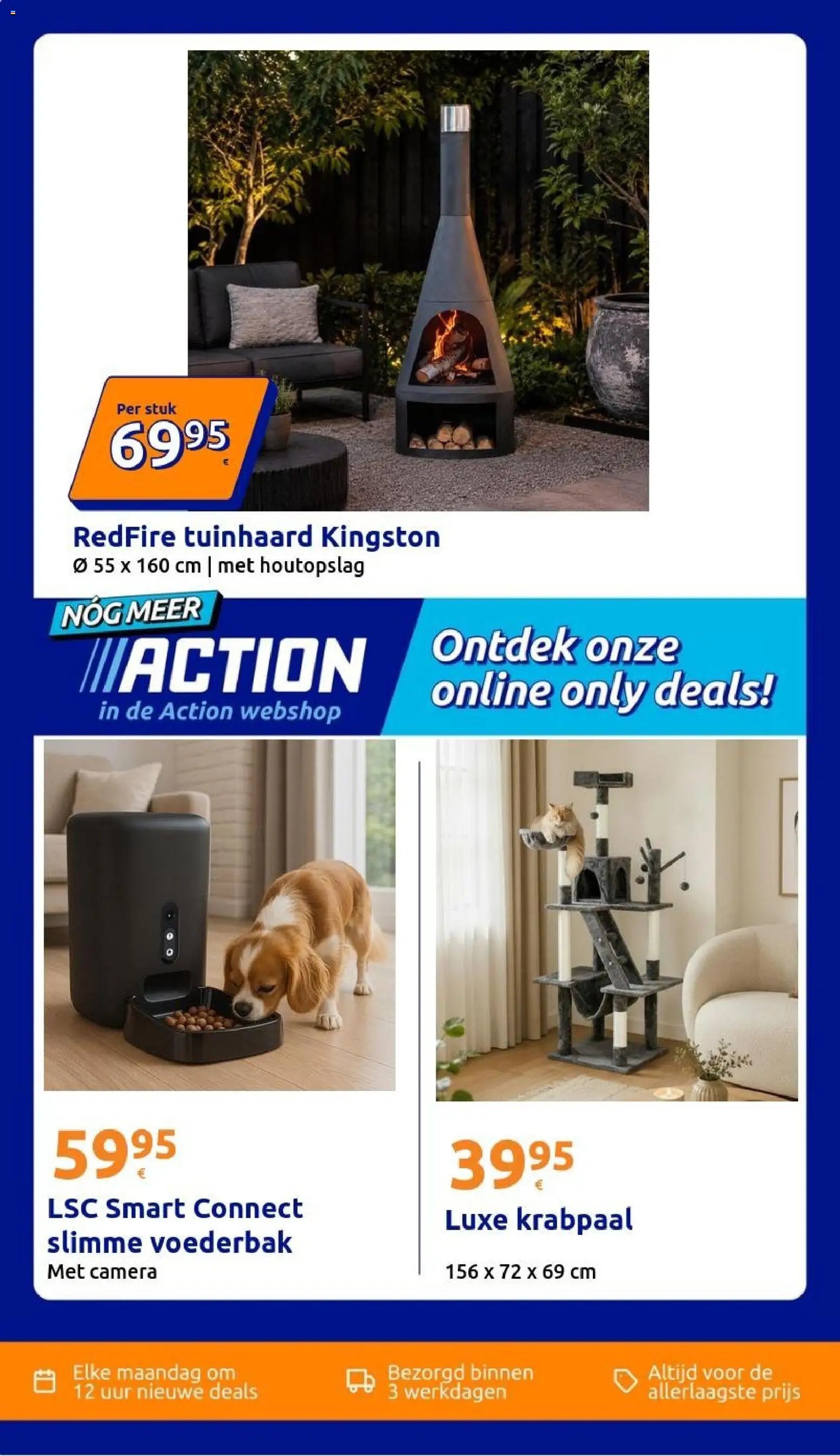 Action folder week 38