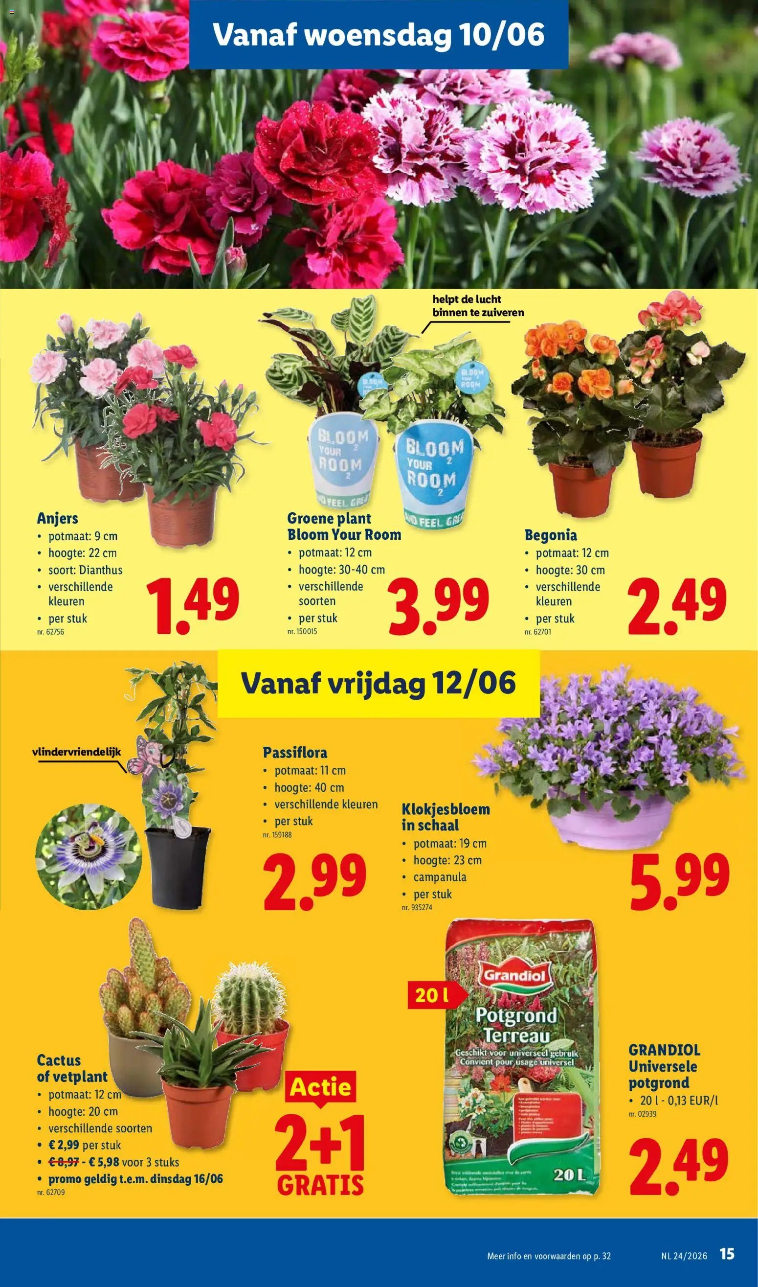 Lidl Folder week 24
