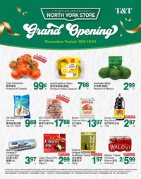 T&T Supermarket - North York Store Grand Opening Specials