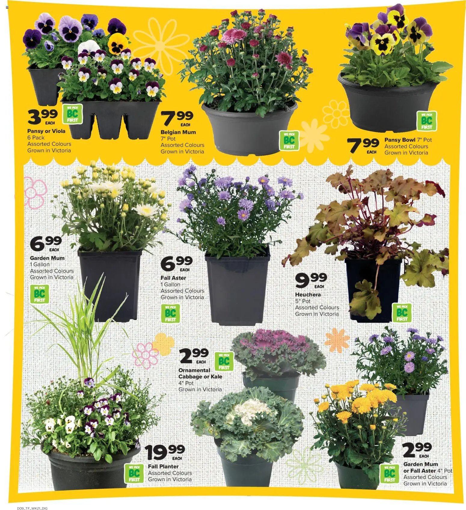 Thrifty Foods weekly flyer / circulaire