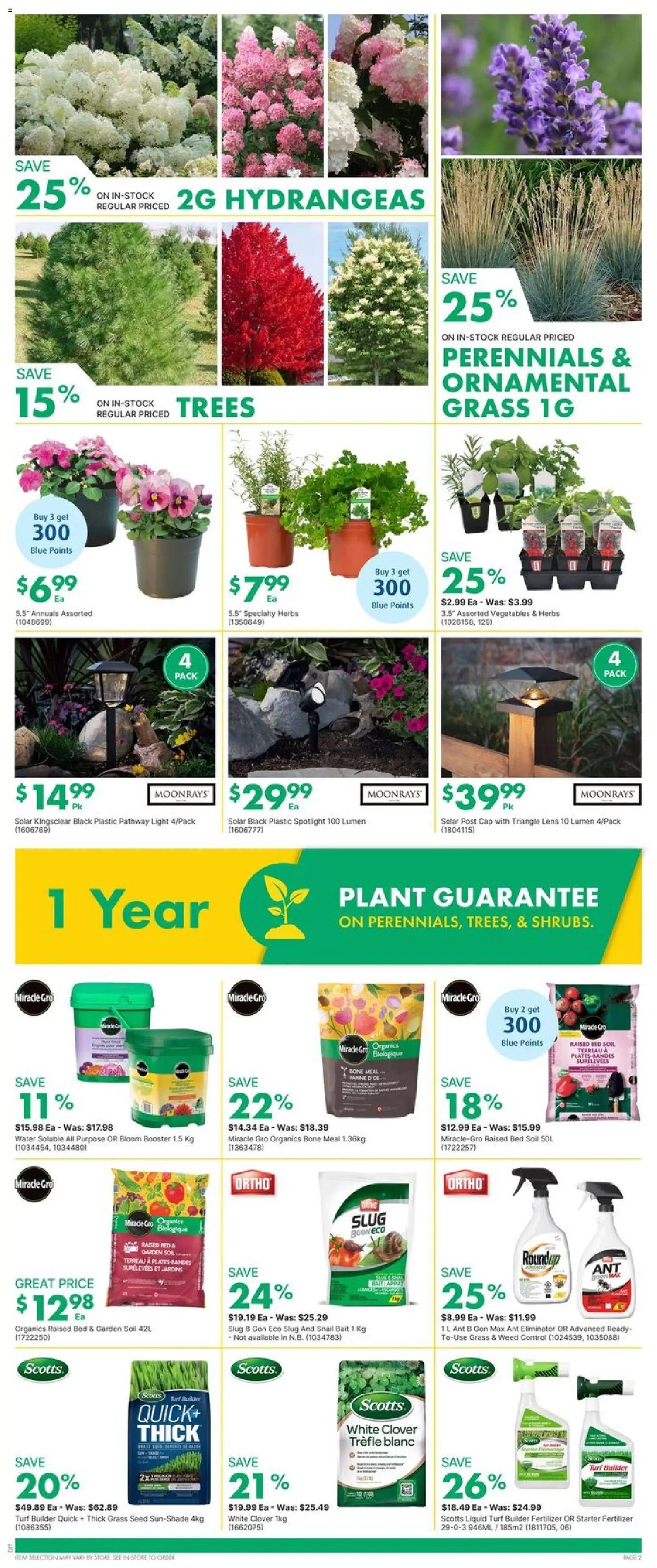 Kent weekly flyer / circulaire