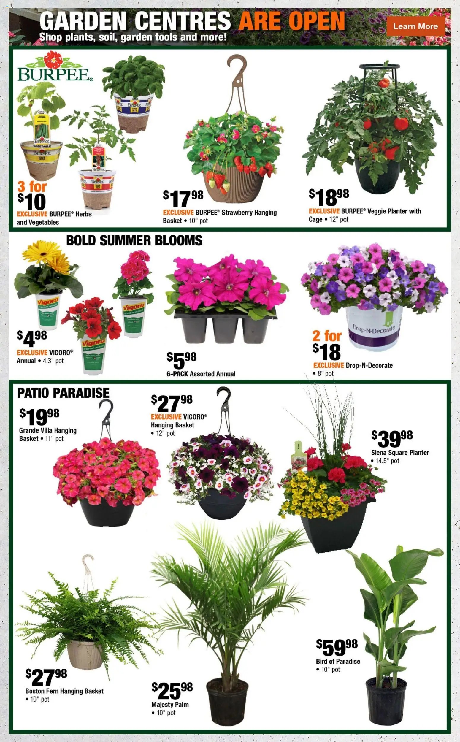 Home Depot weekly flyer - NL