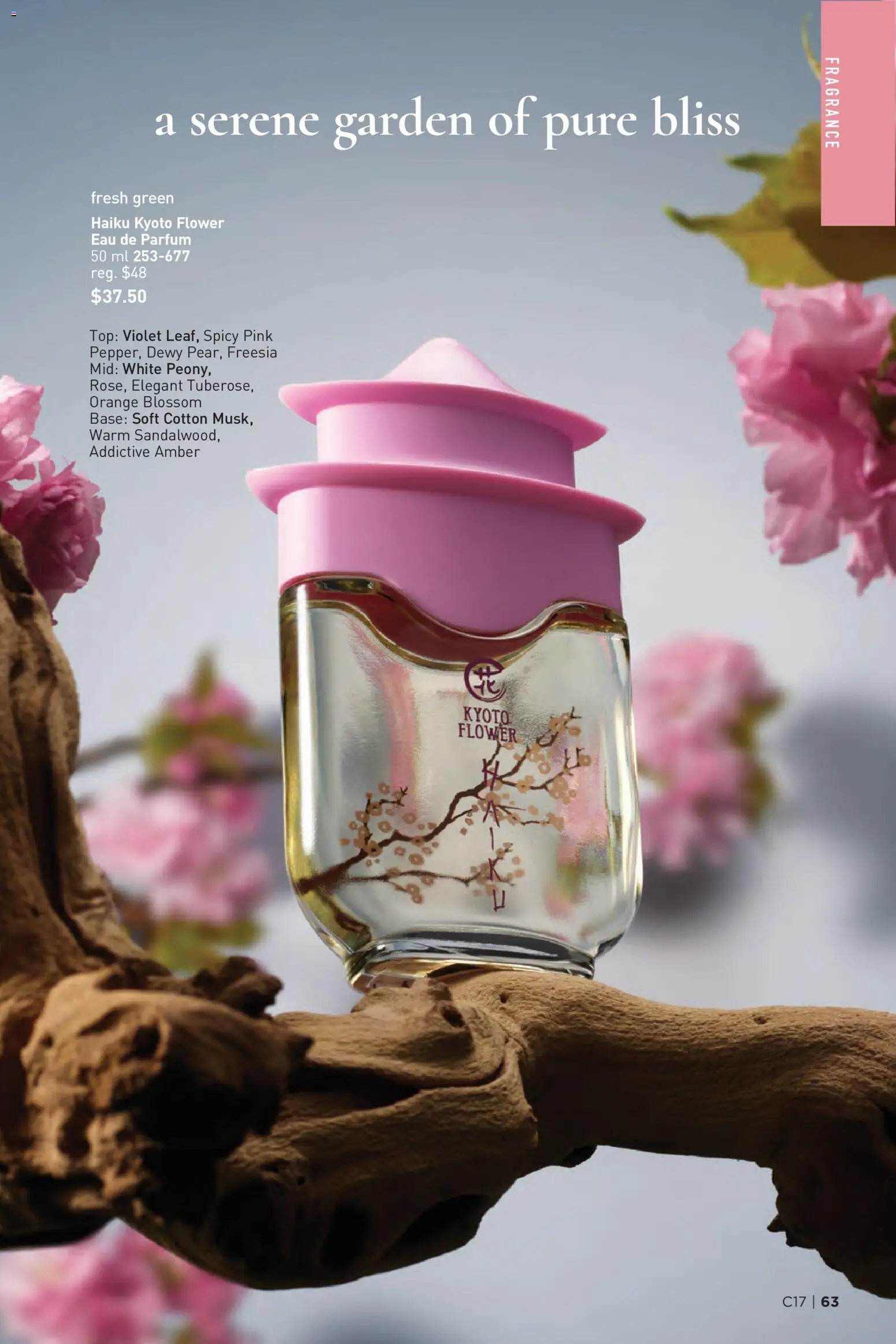 Avon - C17 brochure ca en