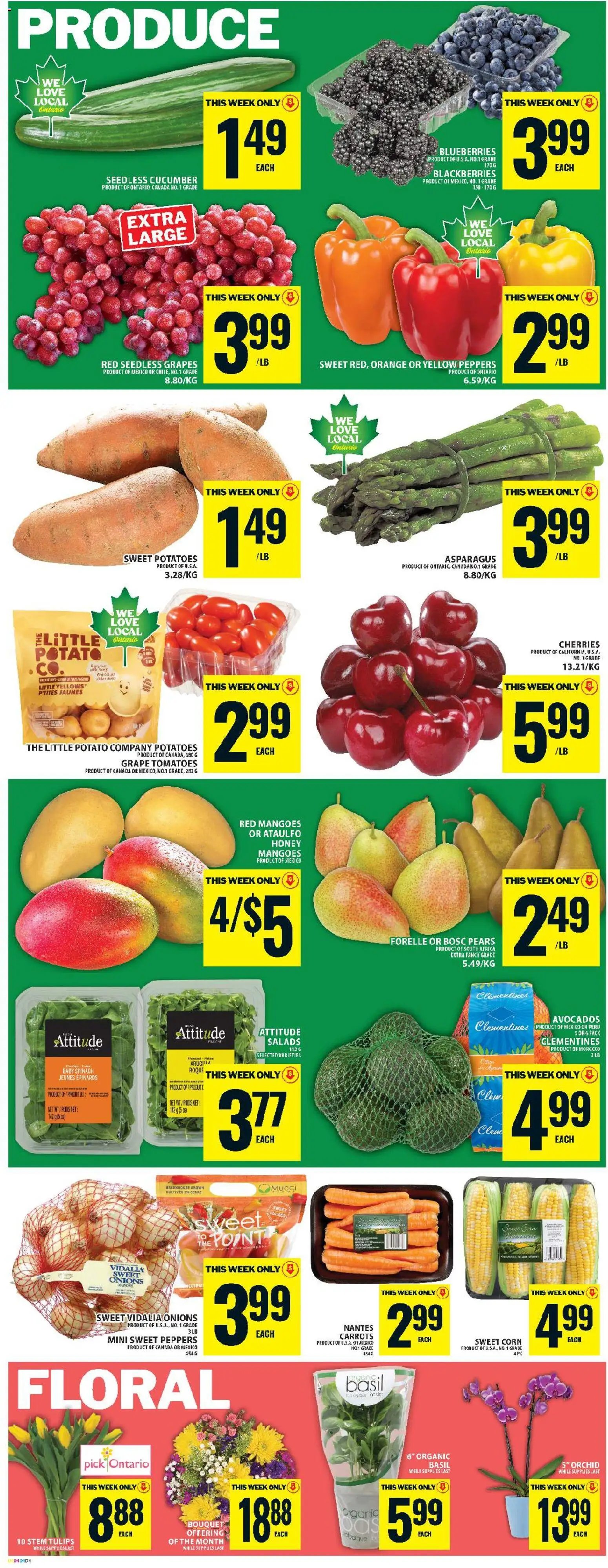 Food Basics weekly flyer - Ancaster