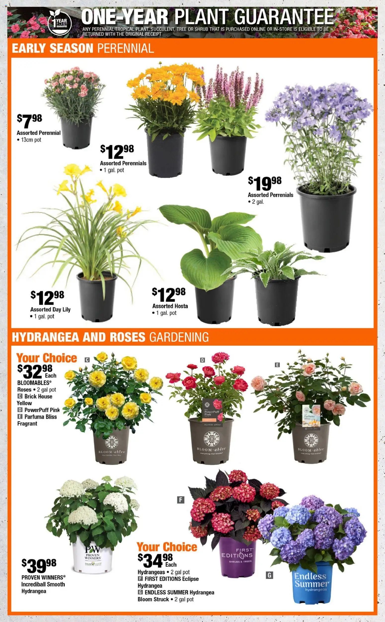 Home Depot weekly flyer - NL (2026-05-14 - 2026-05-27) | 3