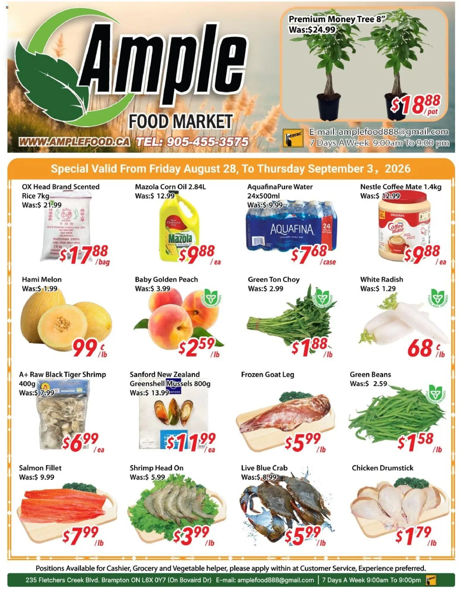 Ample Food Market weekly flyer Brampton