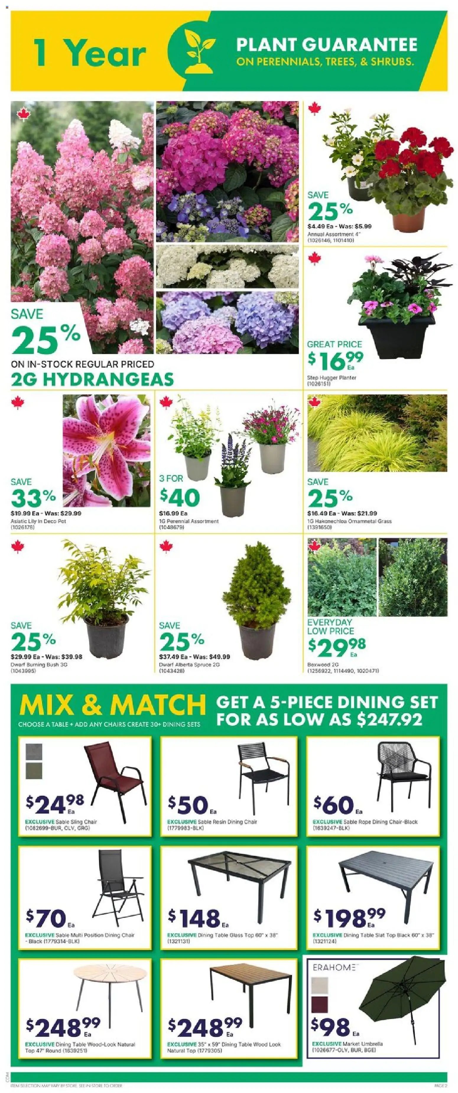 Kent weekly flyer - NB