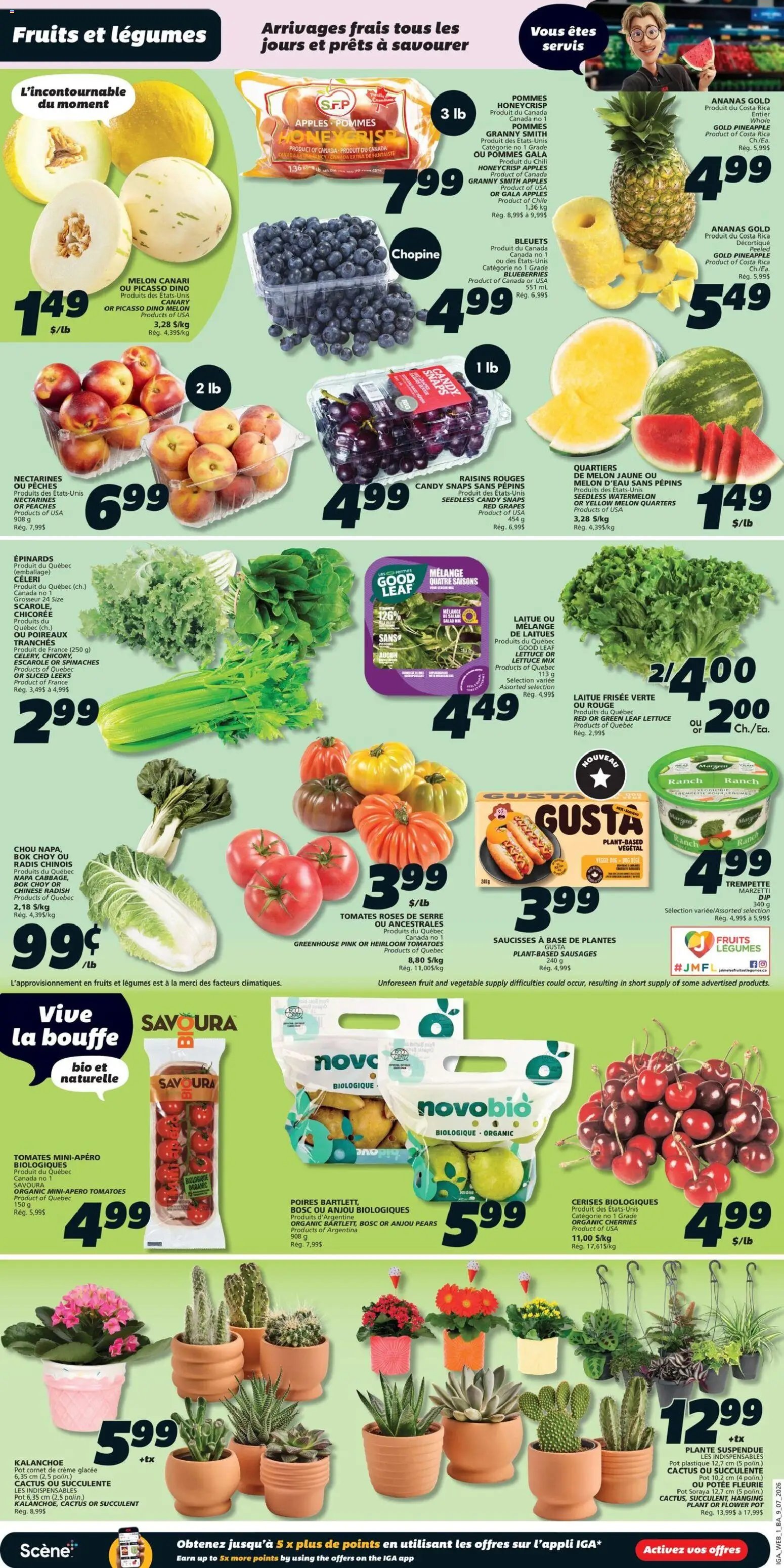 IGA weekly flyer / circulaire