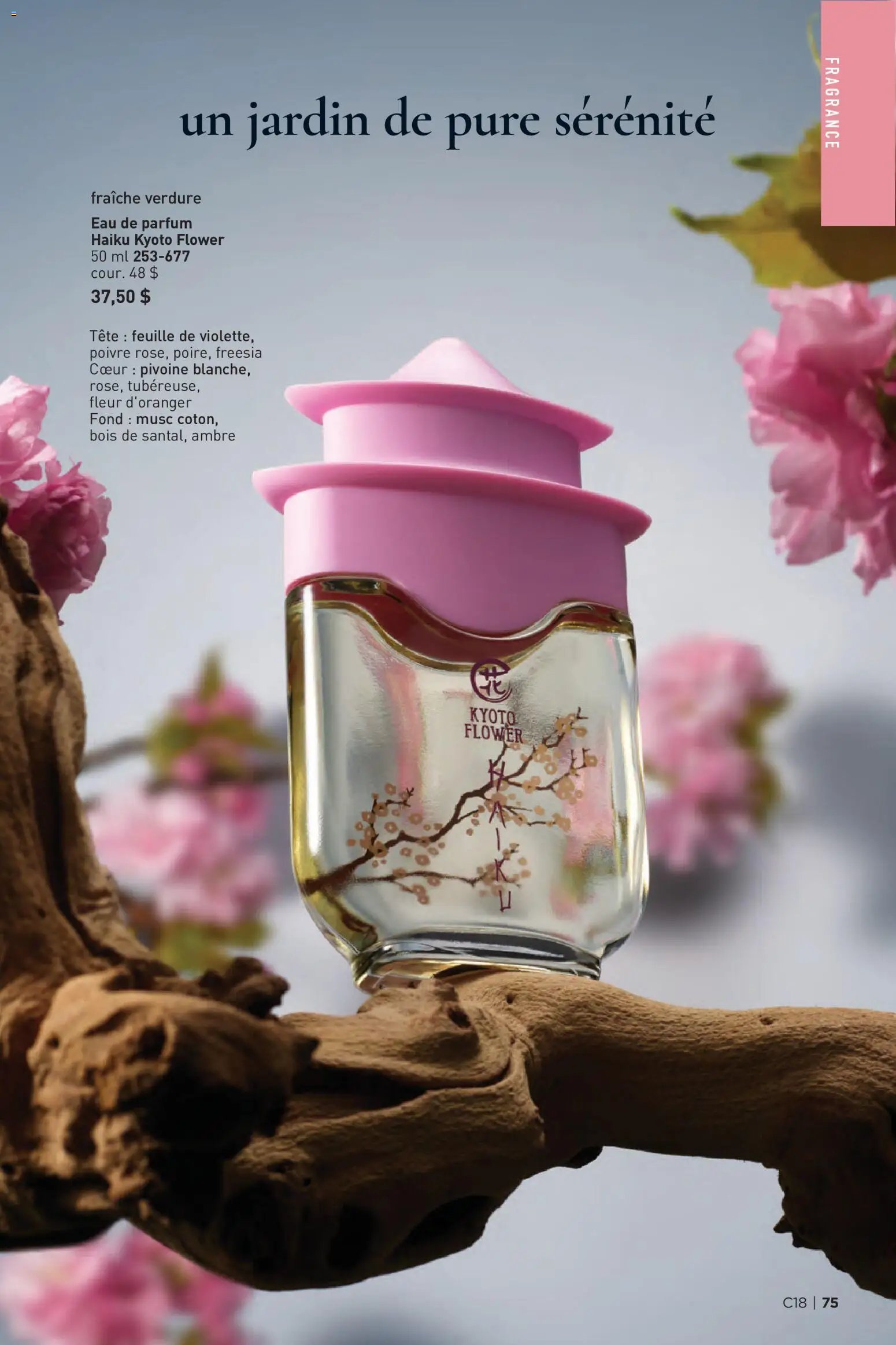 Avon - Brochure Campagne