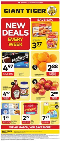 Giant Tiger Weekly Flyer