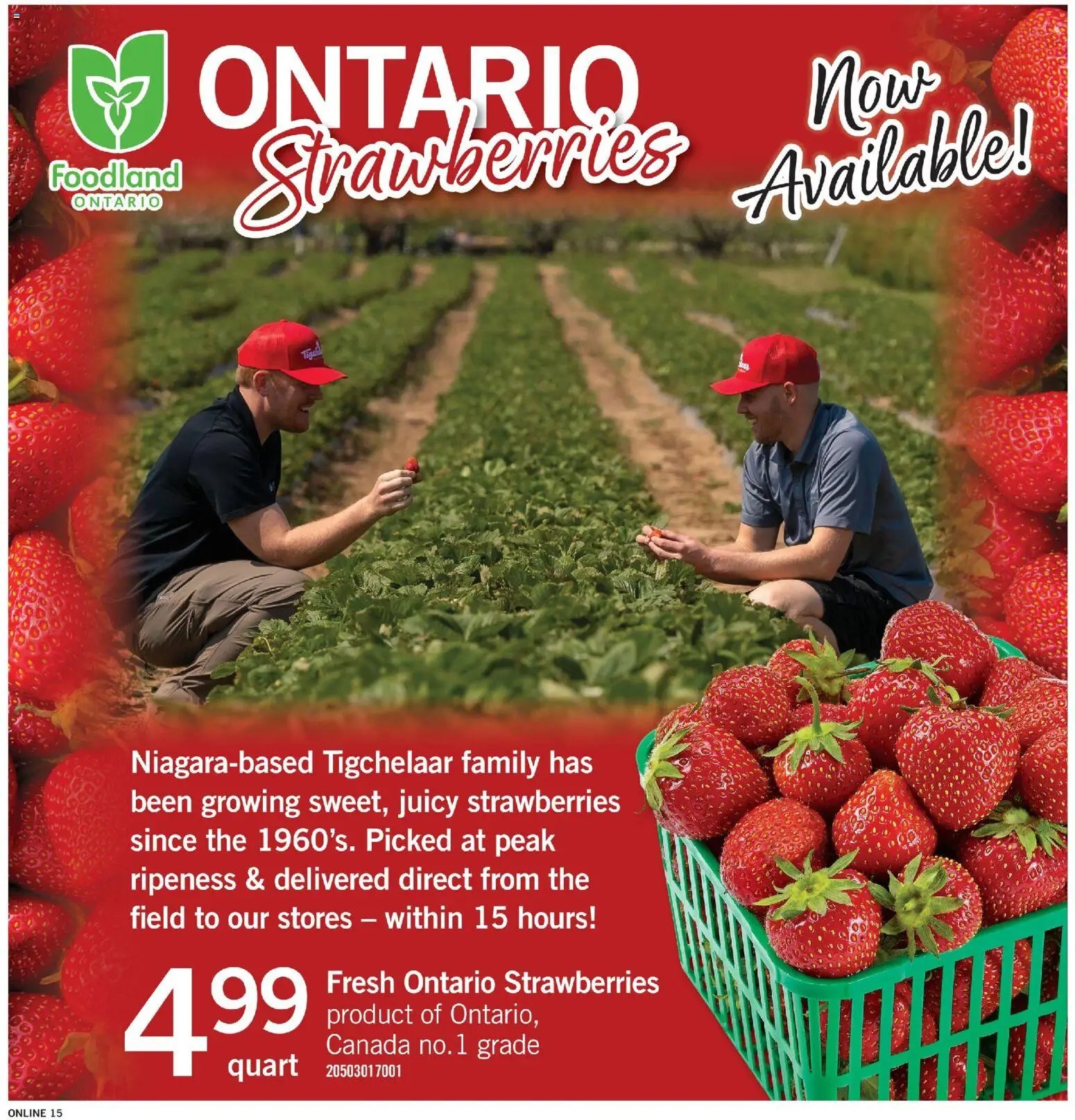 Fortinos weekly flyer / circulaire