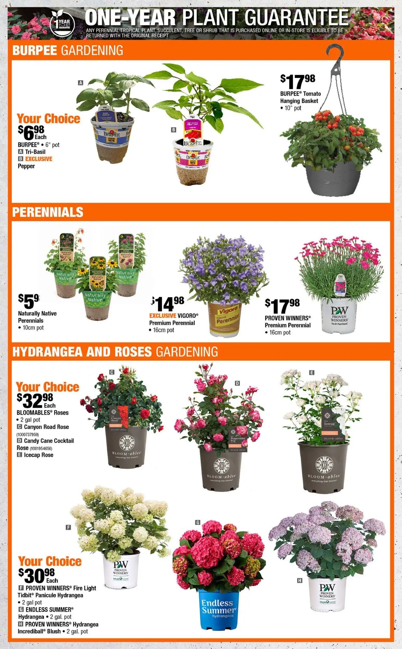 Home Depot weekly flyer -QC (2026-05-14 - 2026-05-27) | 4