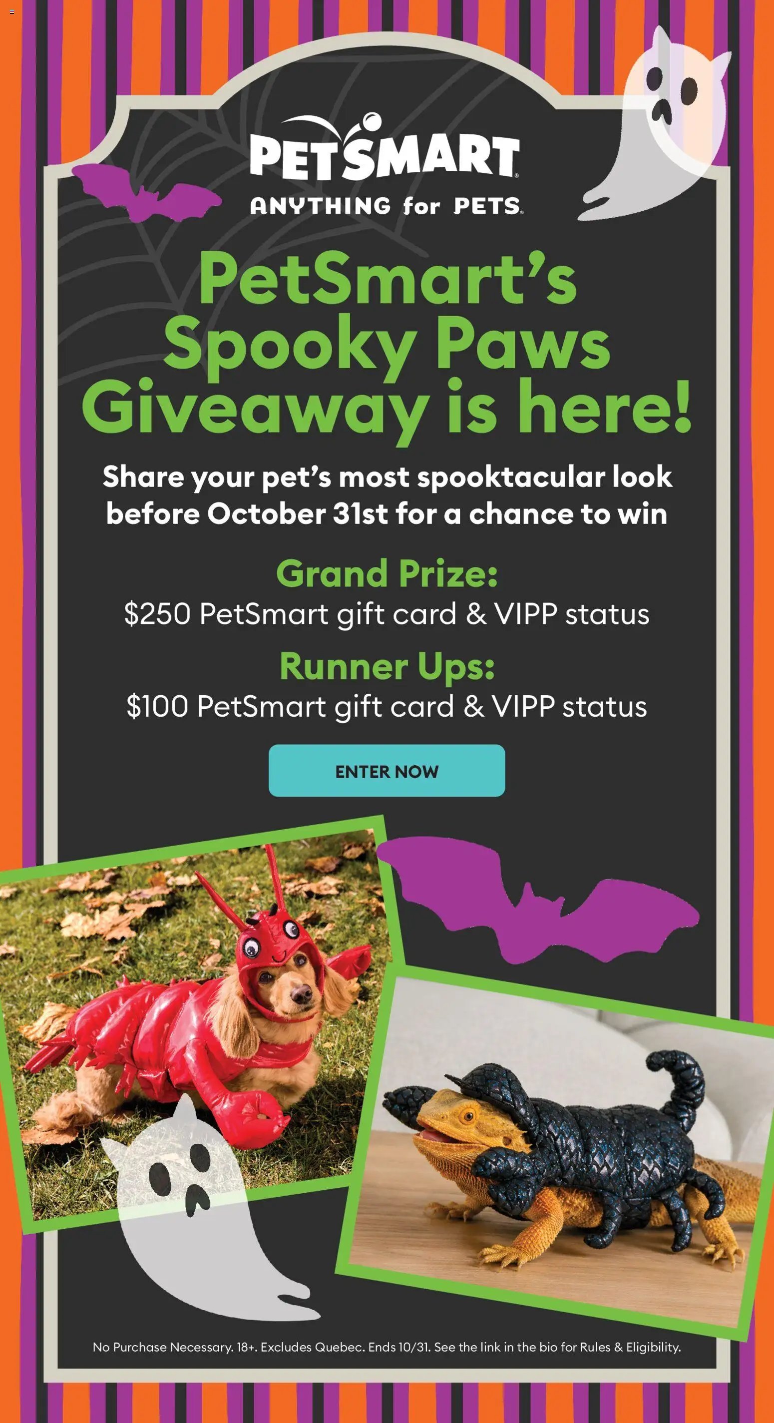 Petsmart flyer - Your Halloween
