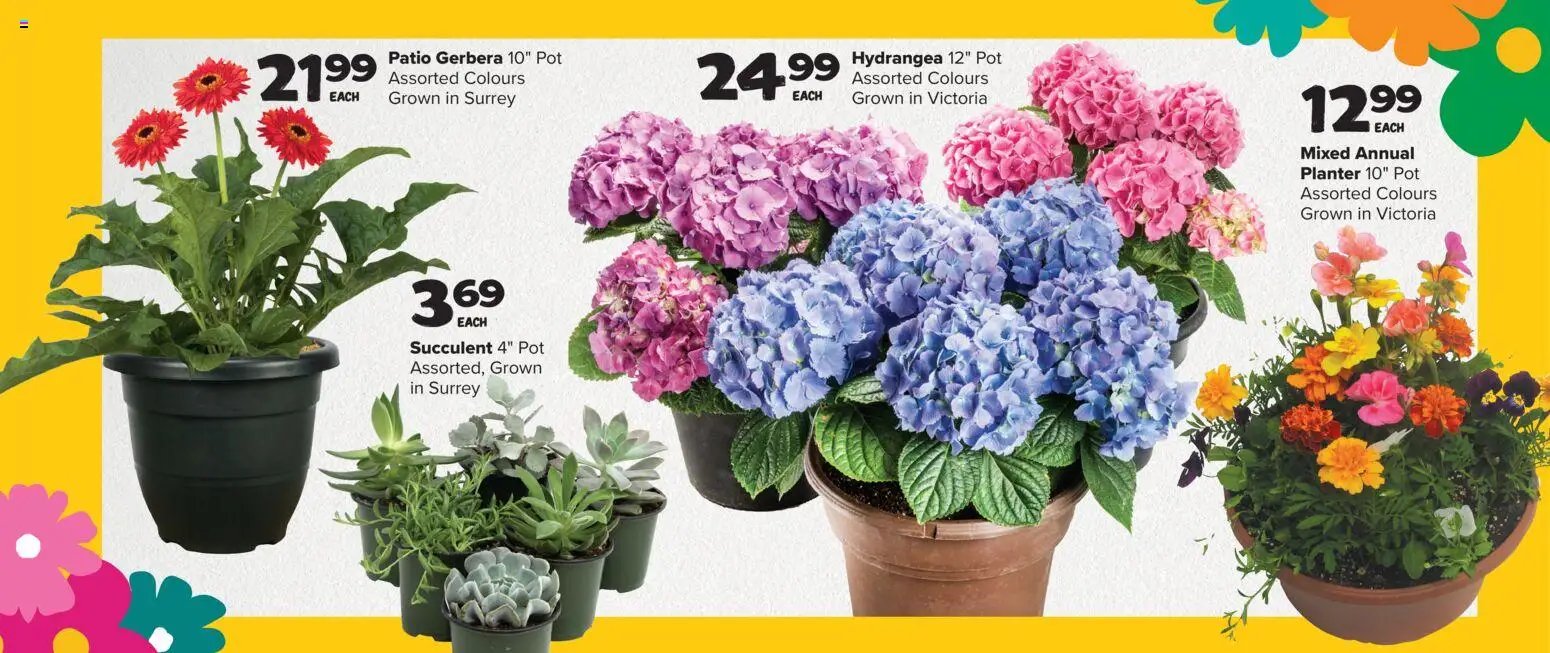 Thrifty Foods weekly flyer / circulaire (2026-05-21 - 2026-05-27) | 11