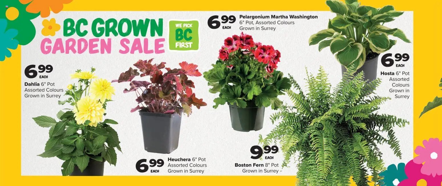 Thrifty Foods weekly flyer / circulaire (2026-05-21 - 2026-05-27) | 10
