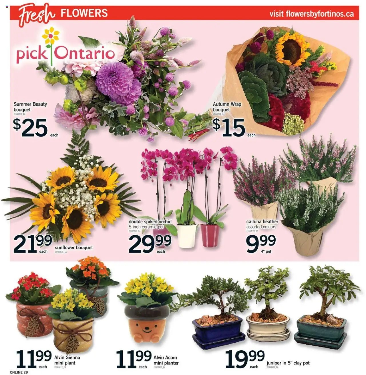 Fortinos - Vaughan, Hwy 7 RR 2 3940