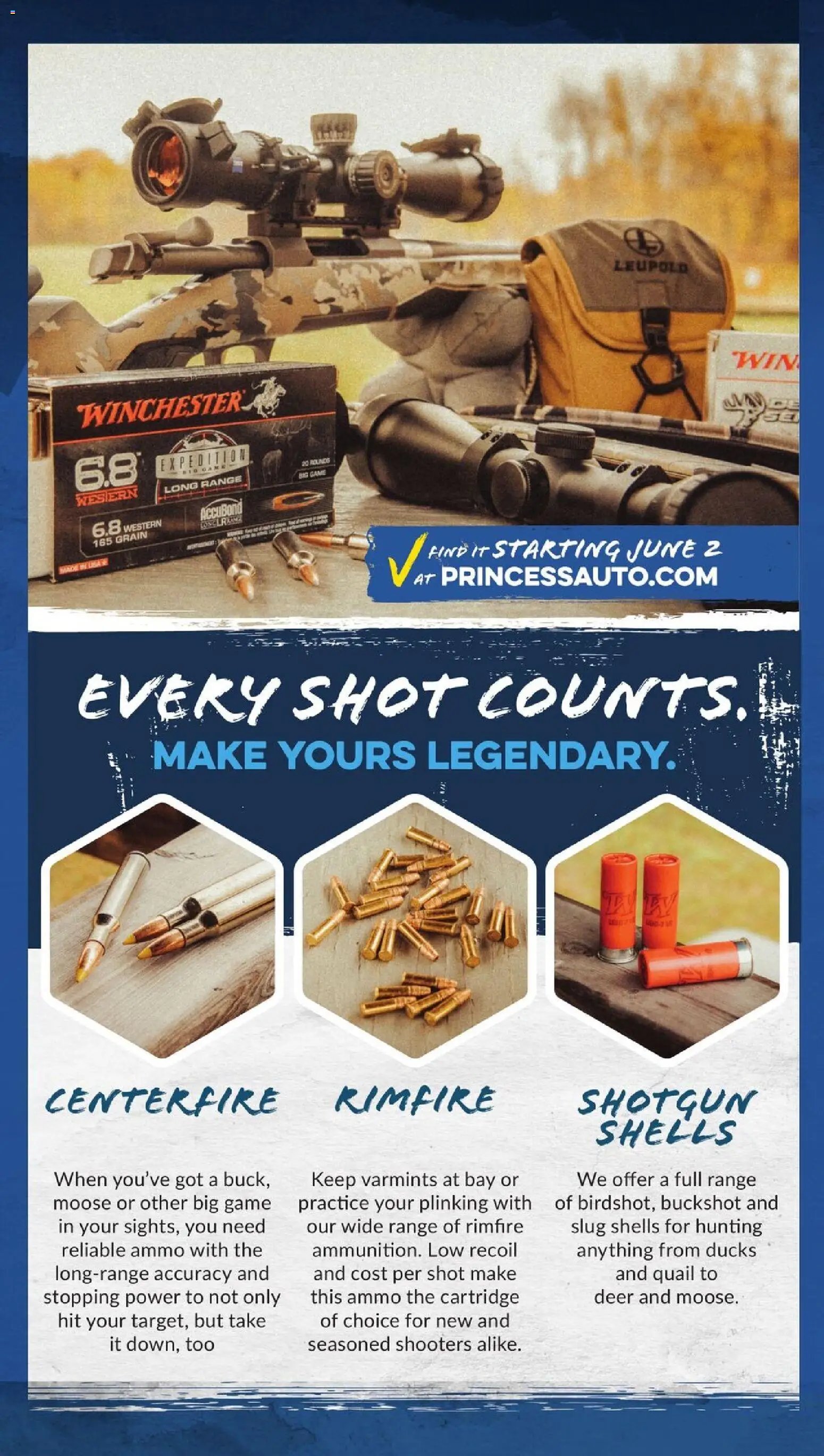 Princess Auto weekly flyer - 2 Week Sale!