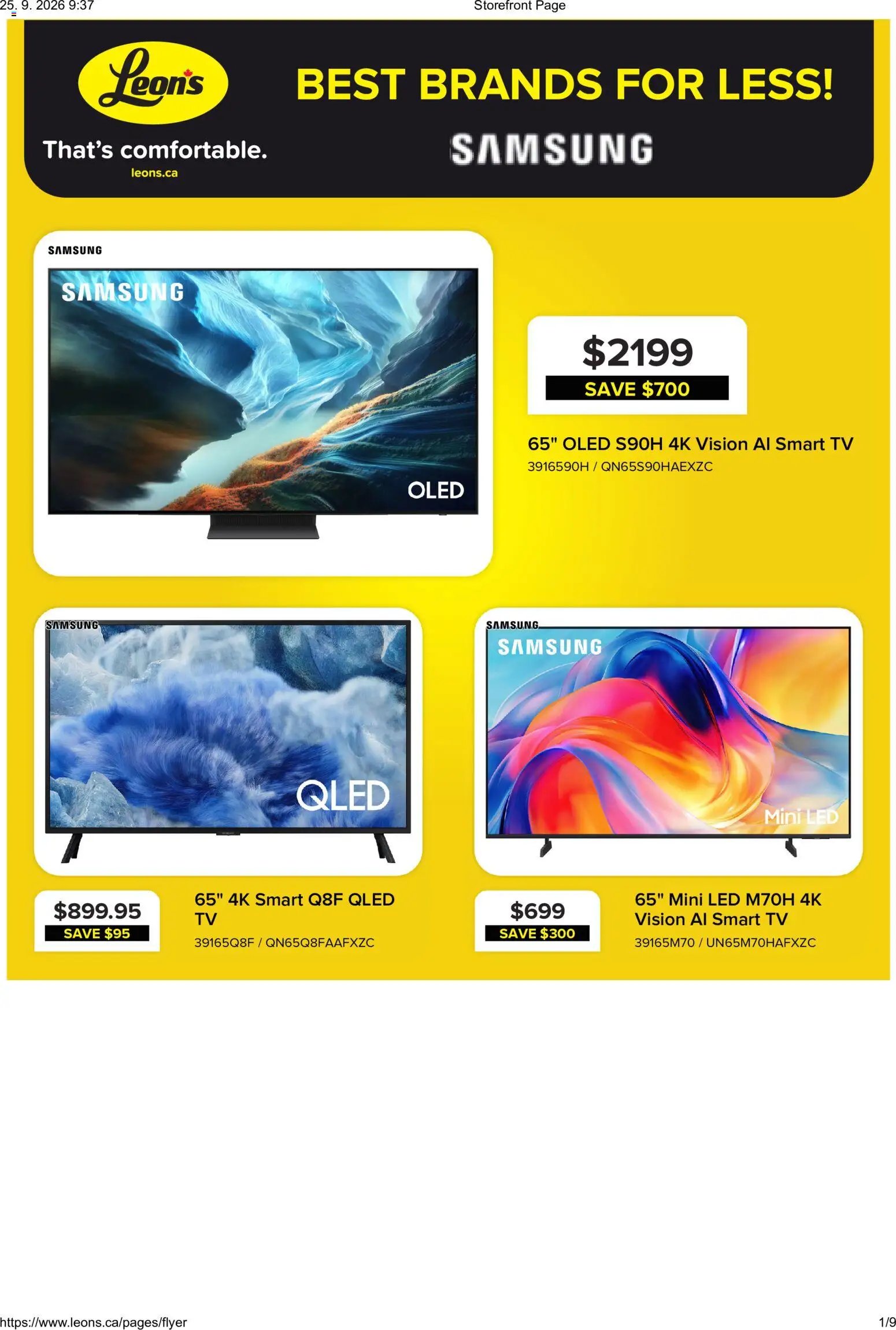 Leon's flyer - BBFL Electronics