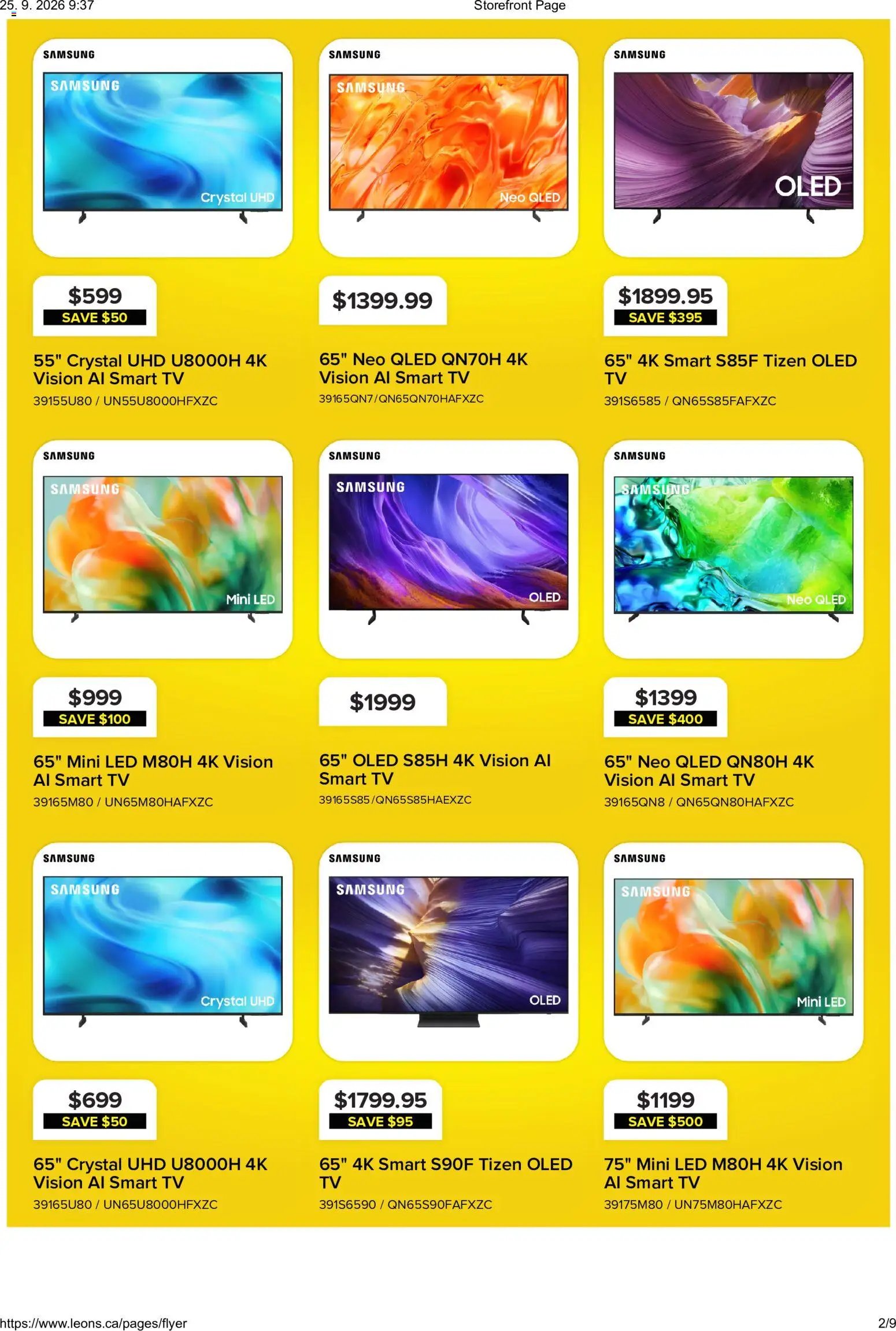 Leon's flyer - BBFL Electronics