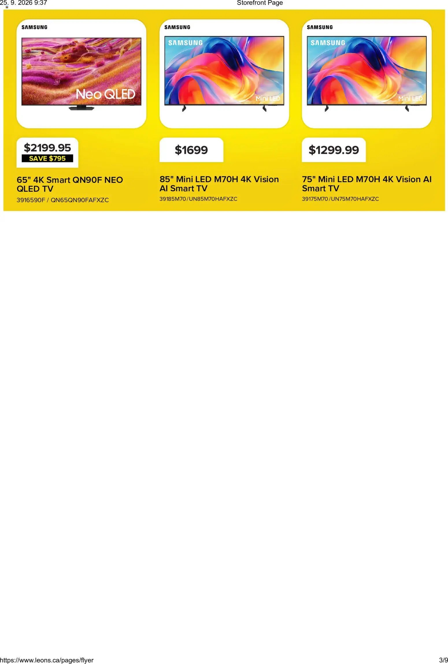 Leon's flyer - BBFL Electronics