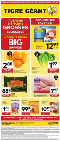 Giant Tiger Weekly Flyer