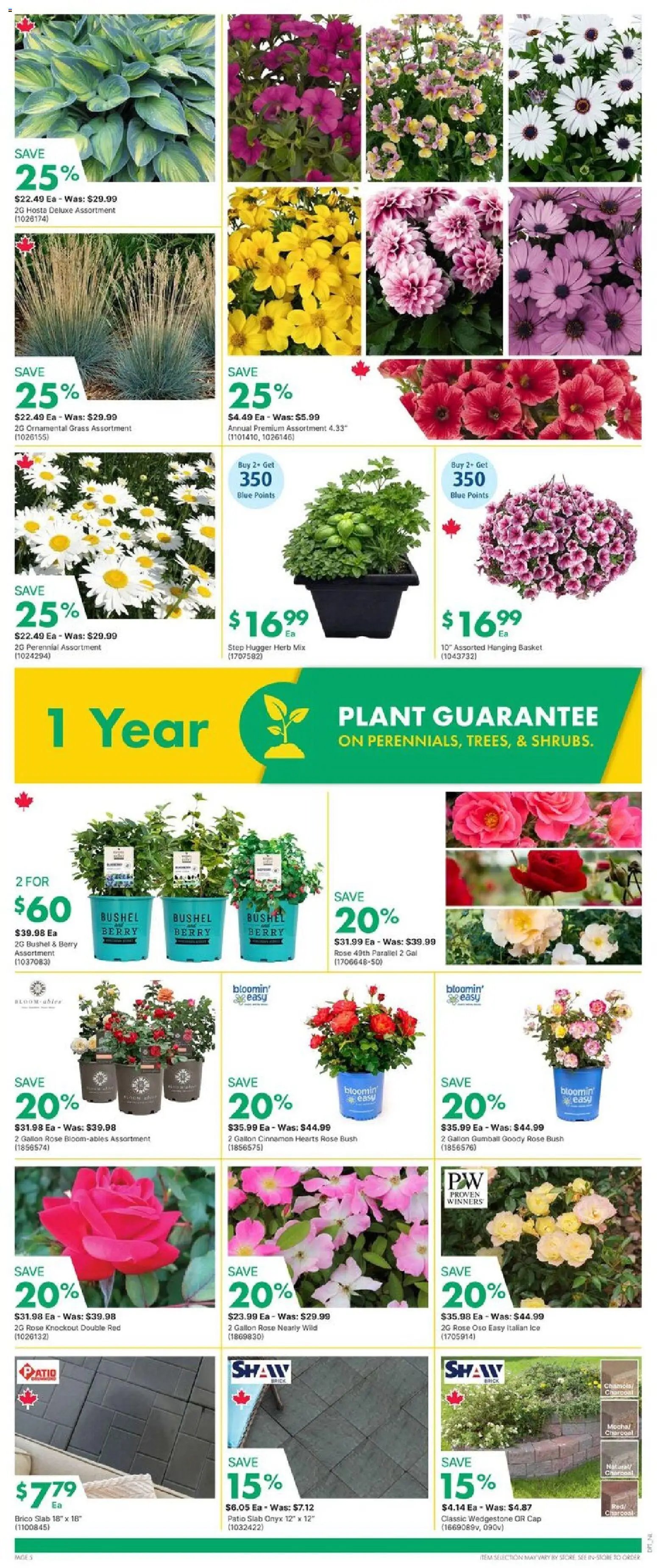 Kent weekly flyer - NL