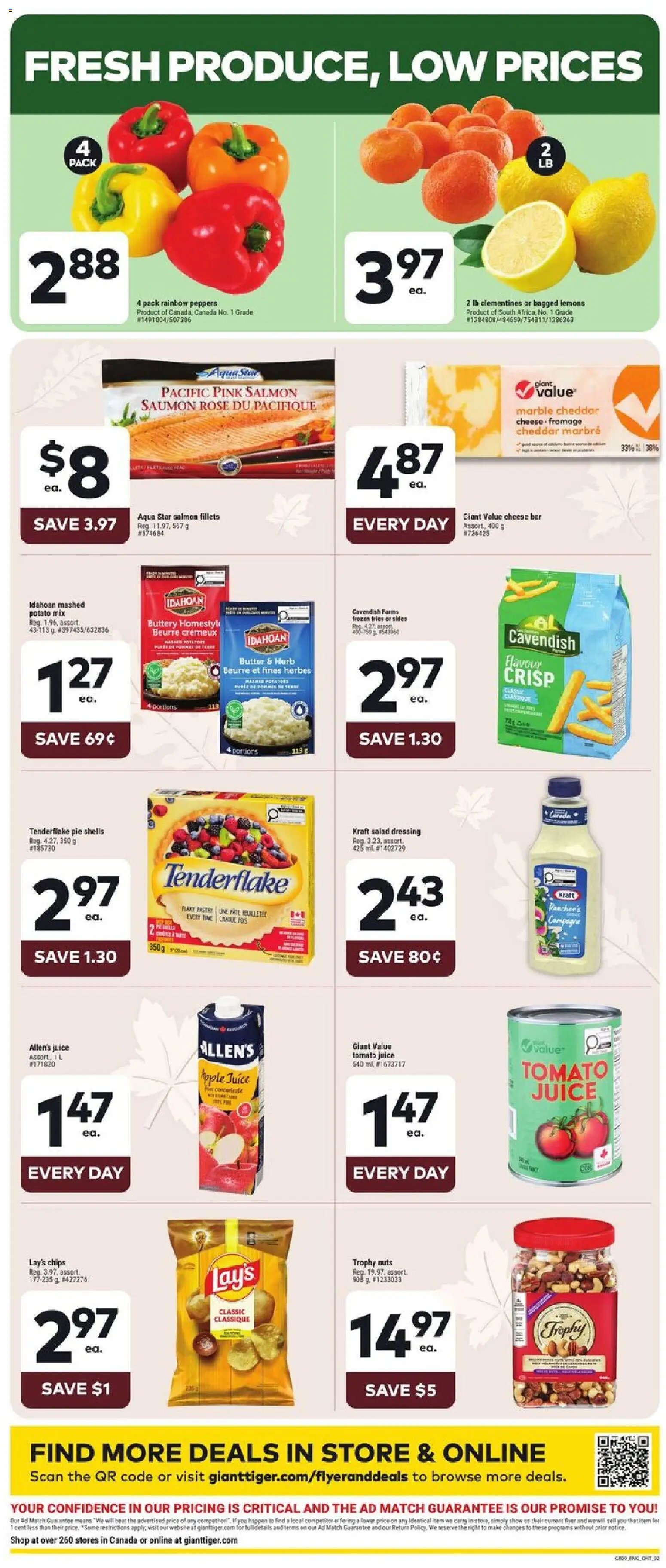 Giant Tiger Weekly Flyer