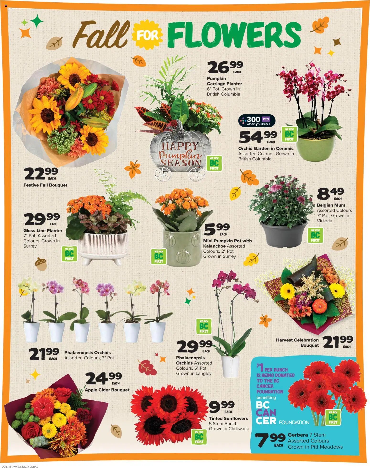 Thrifty Foods weekly flyer / circulaire