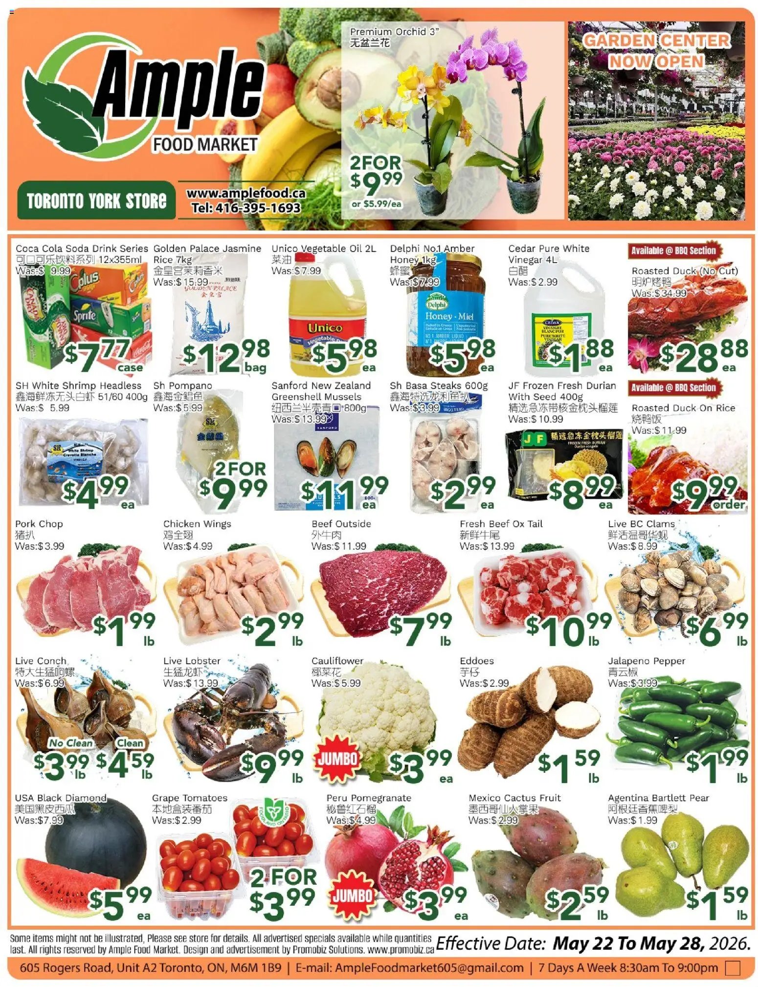 Ample Food Market  weekly flyer Toronto York (2026-05-22 - 2026-05-28) | 1
