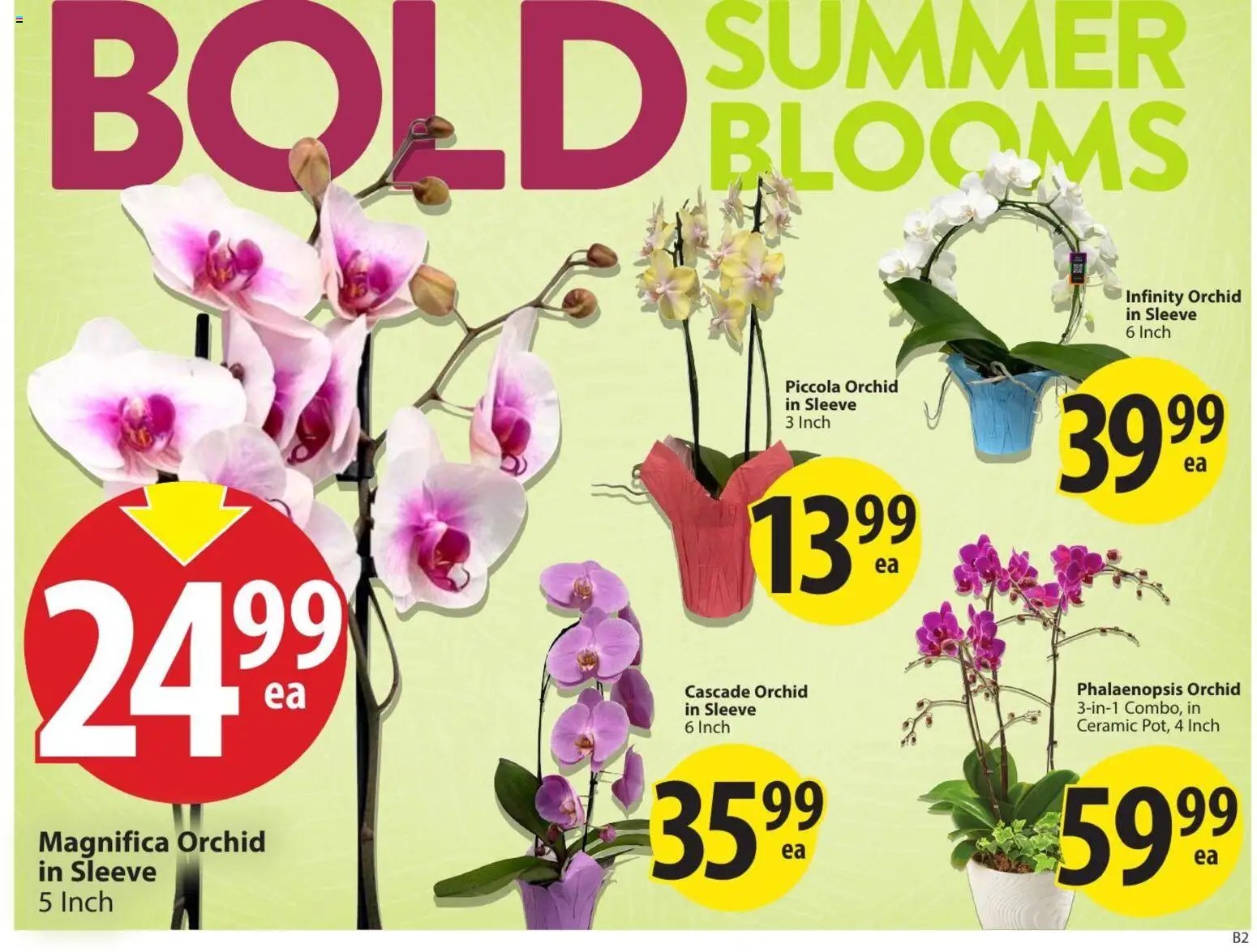 Save on foods flyer - AB