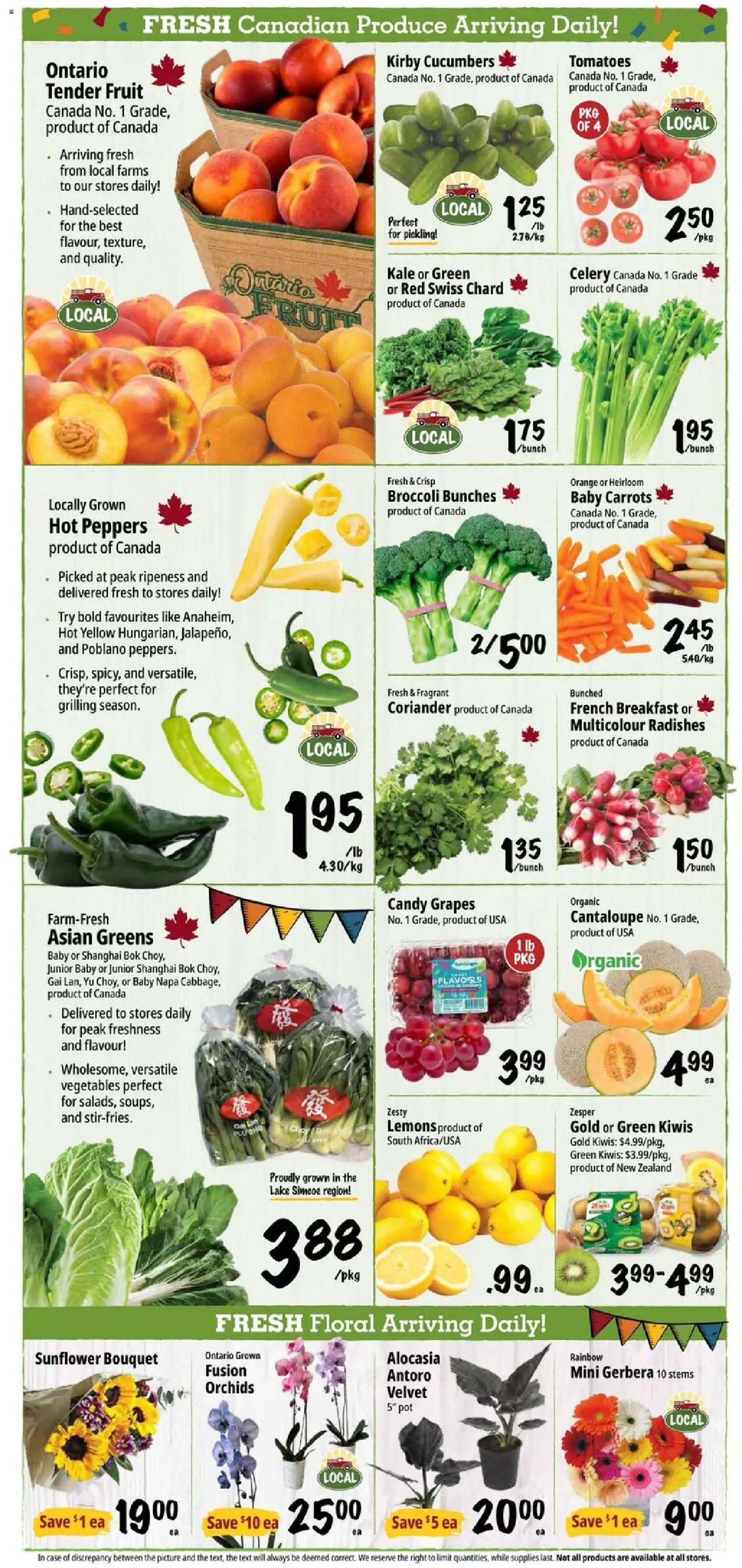 Farm Boy weekly flyer / circulaire
