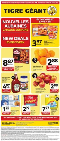 Giant Tiger Weekly Flyer